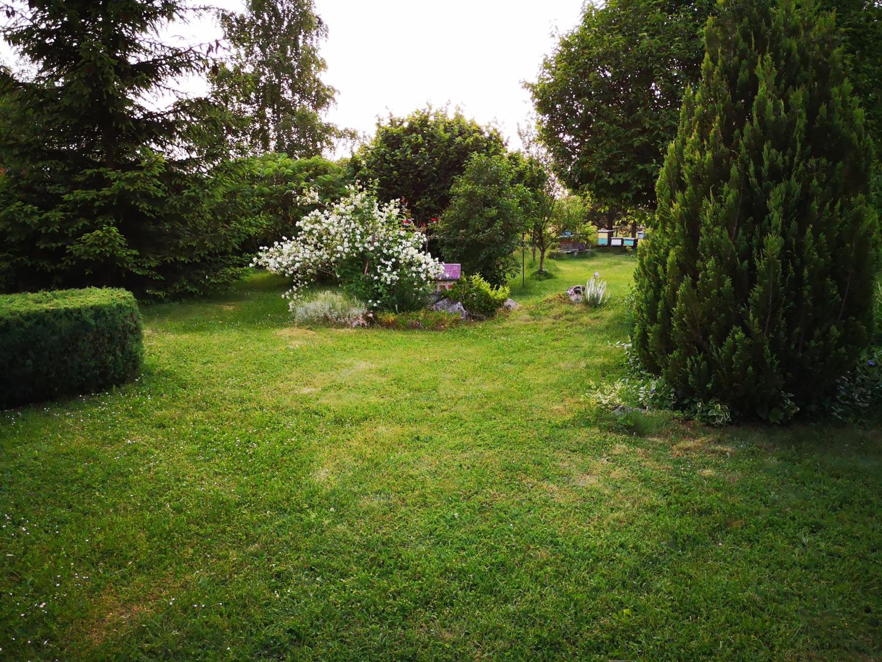Nature Escape view 3