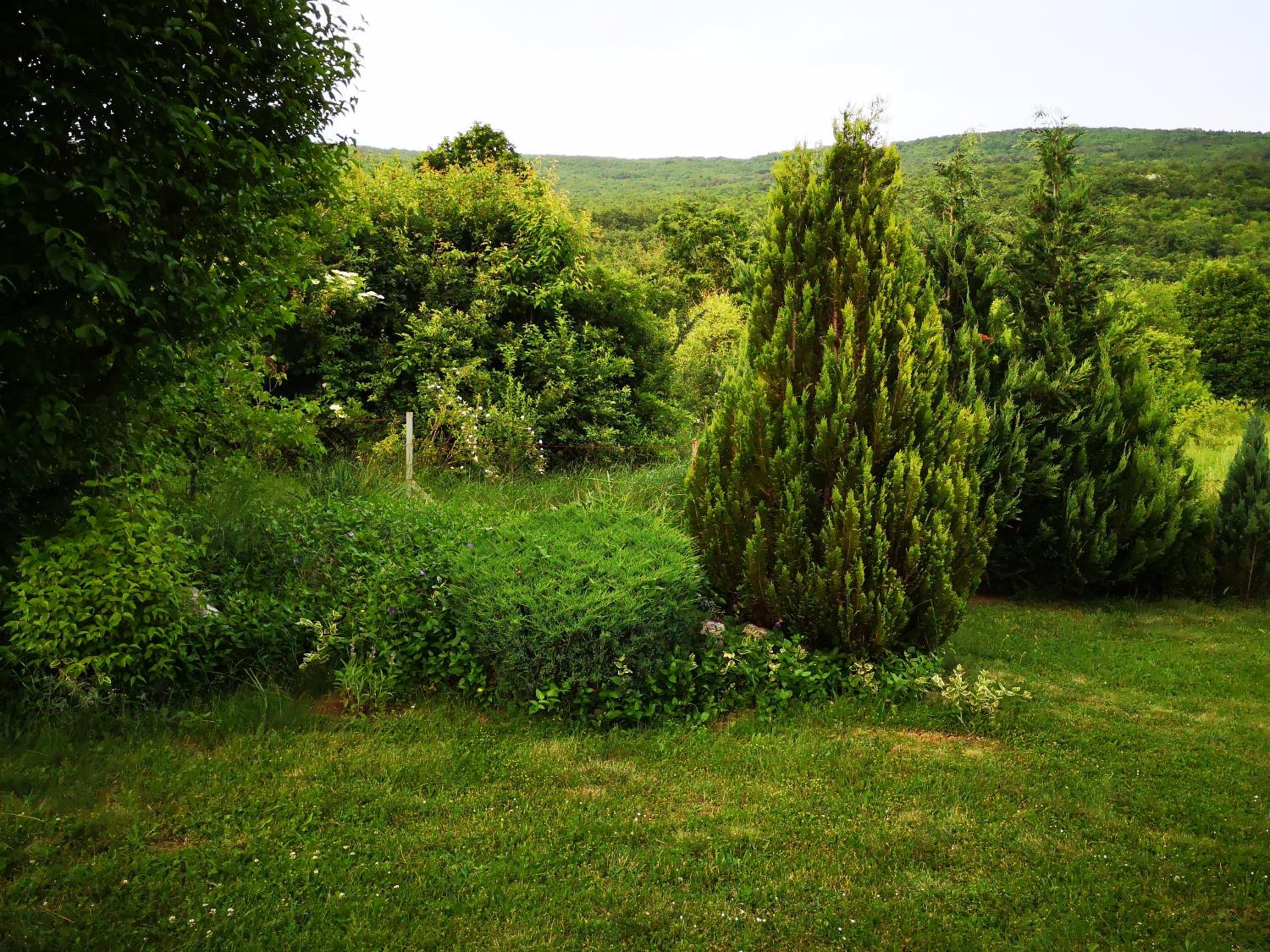 Photo 44