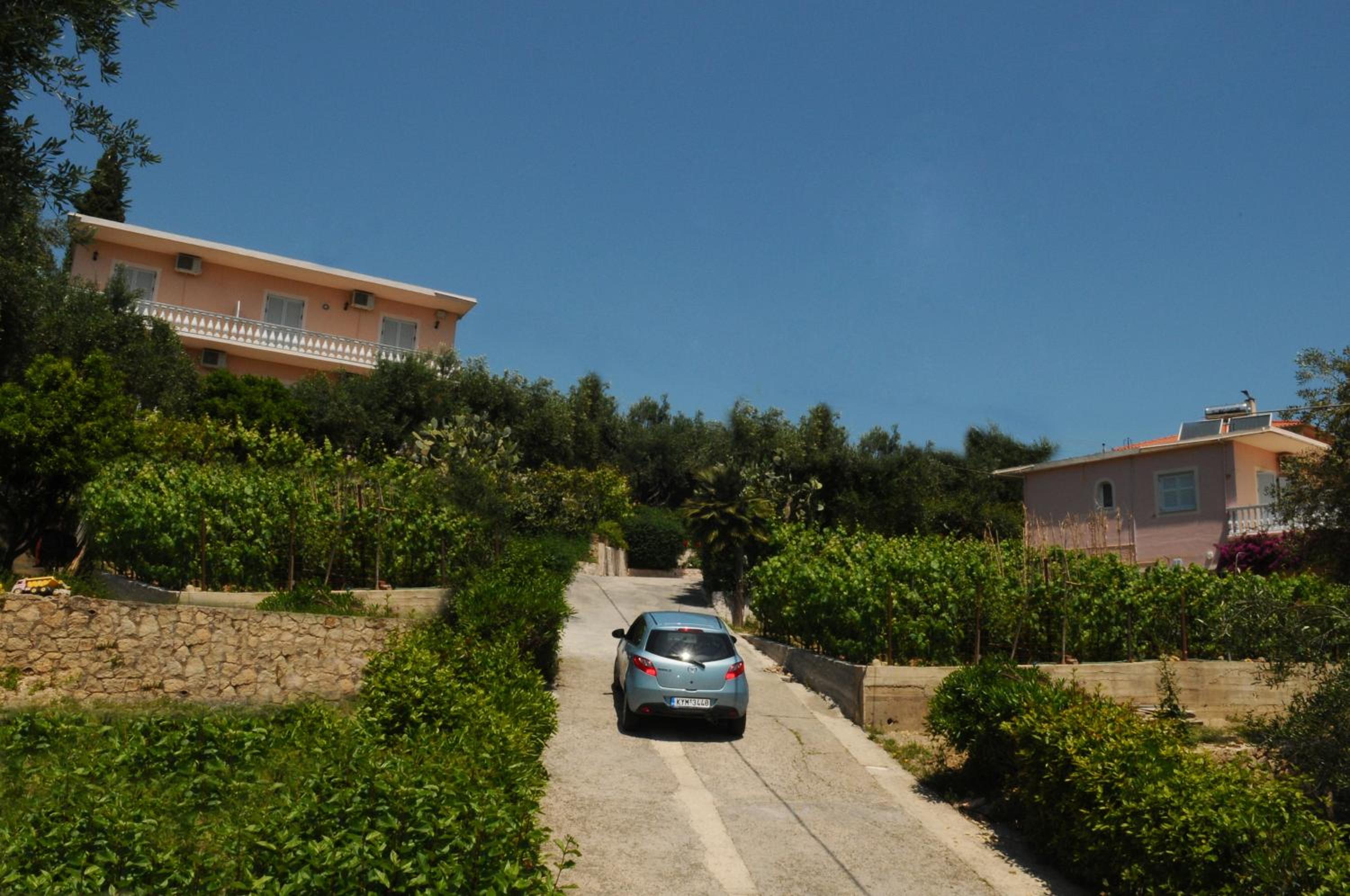 Photo 45