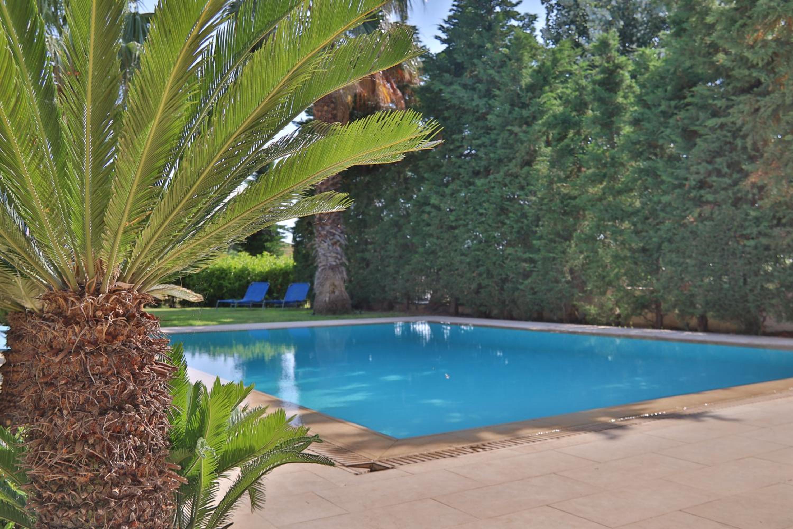 Luxury Villa Anavissos photo 4