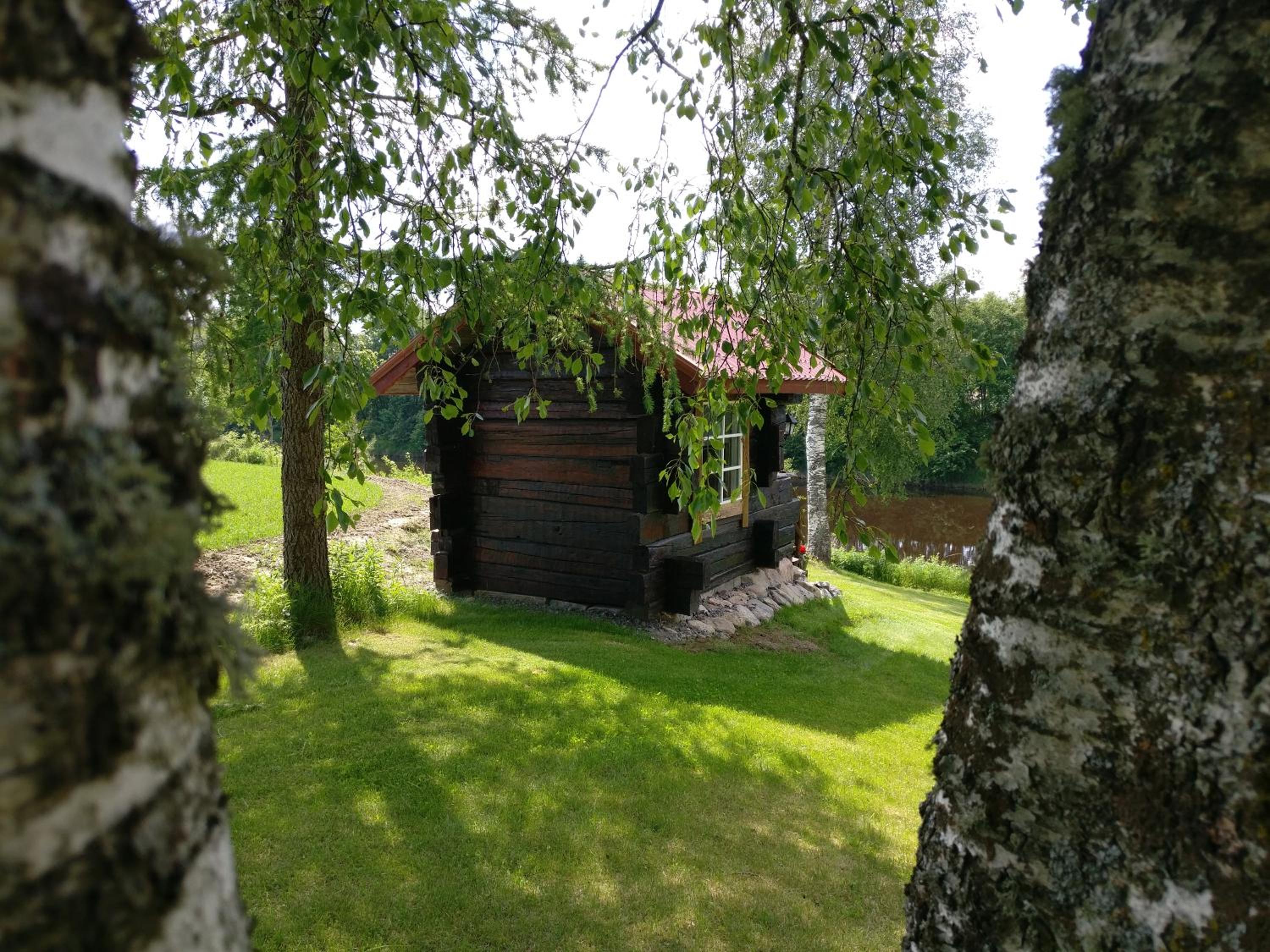Photo 12