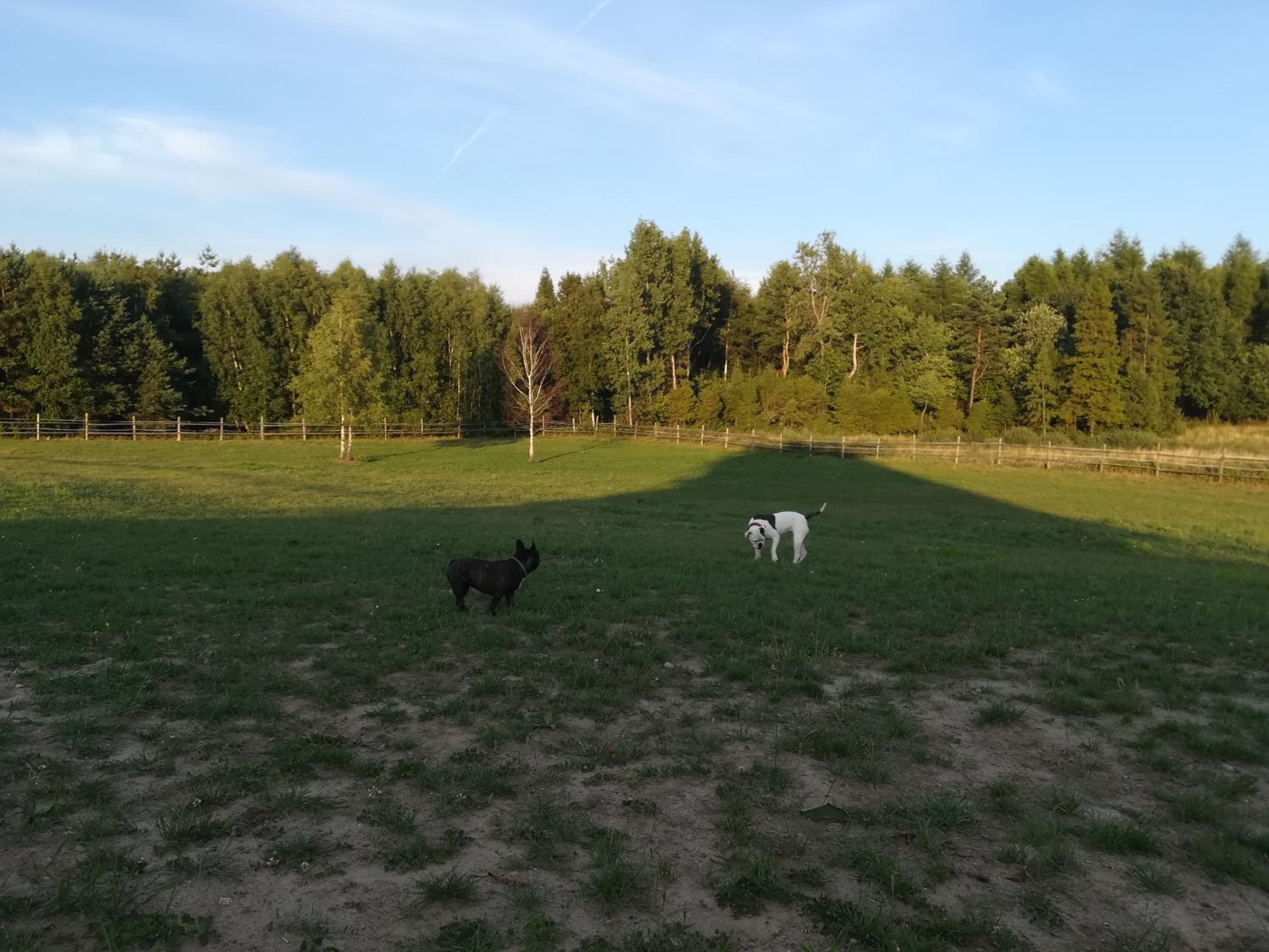Photo 51