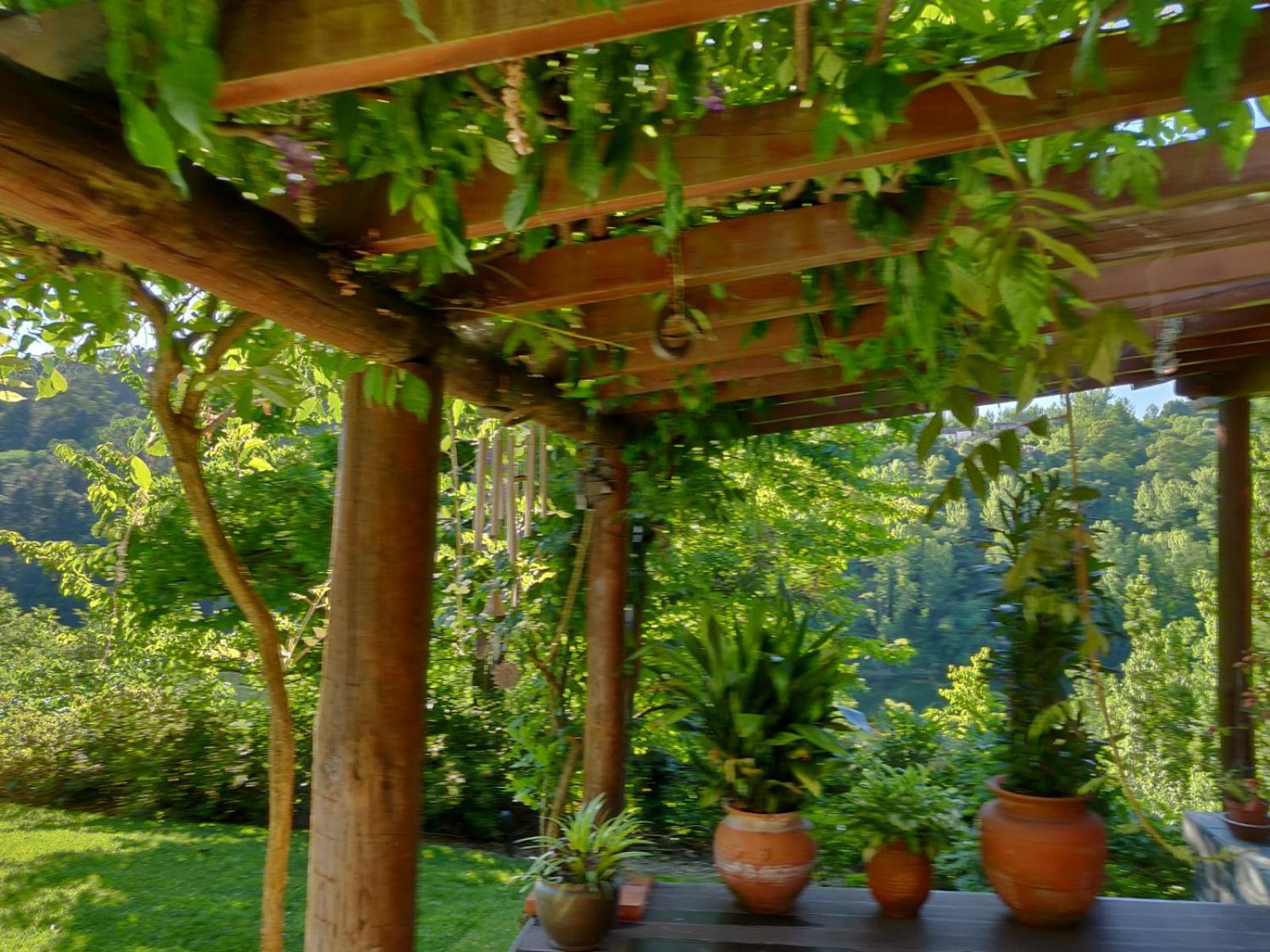 Casa Dos Canais, River Cottage view 4