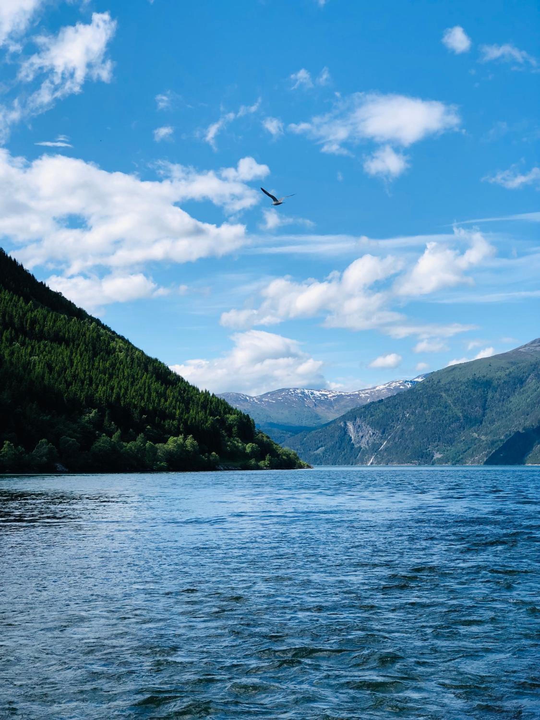 Norway Holiday Apartments - Norddalstunet