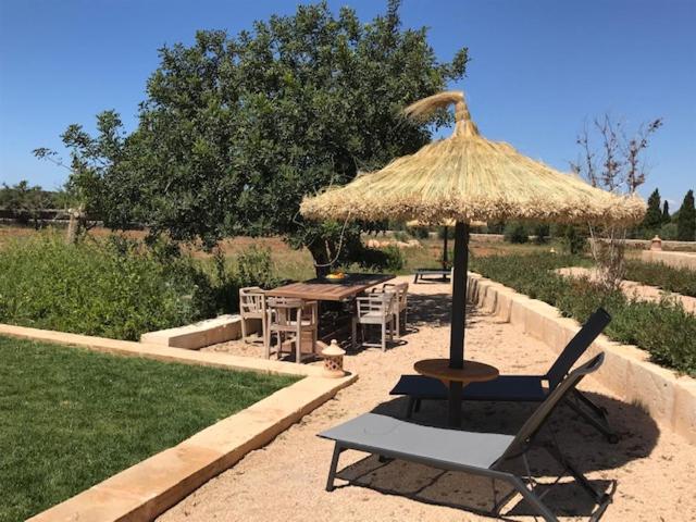 Finca El Idilio — photo 2