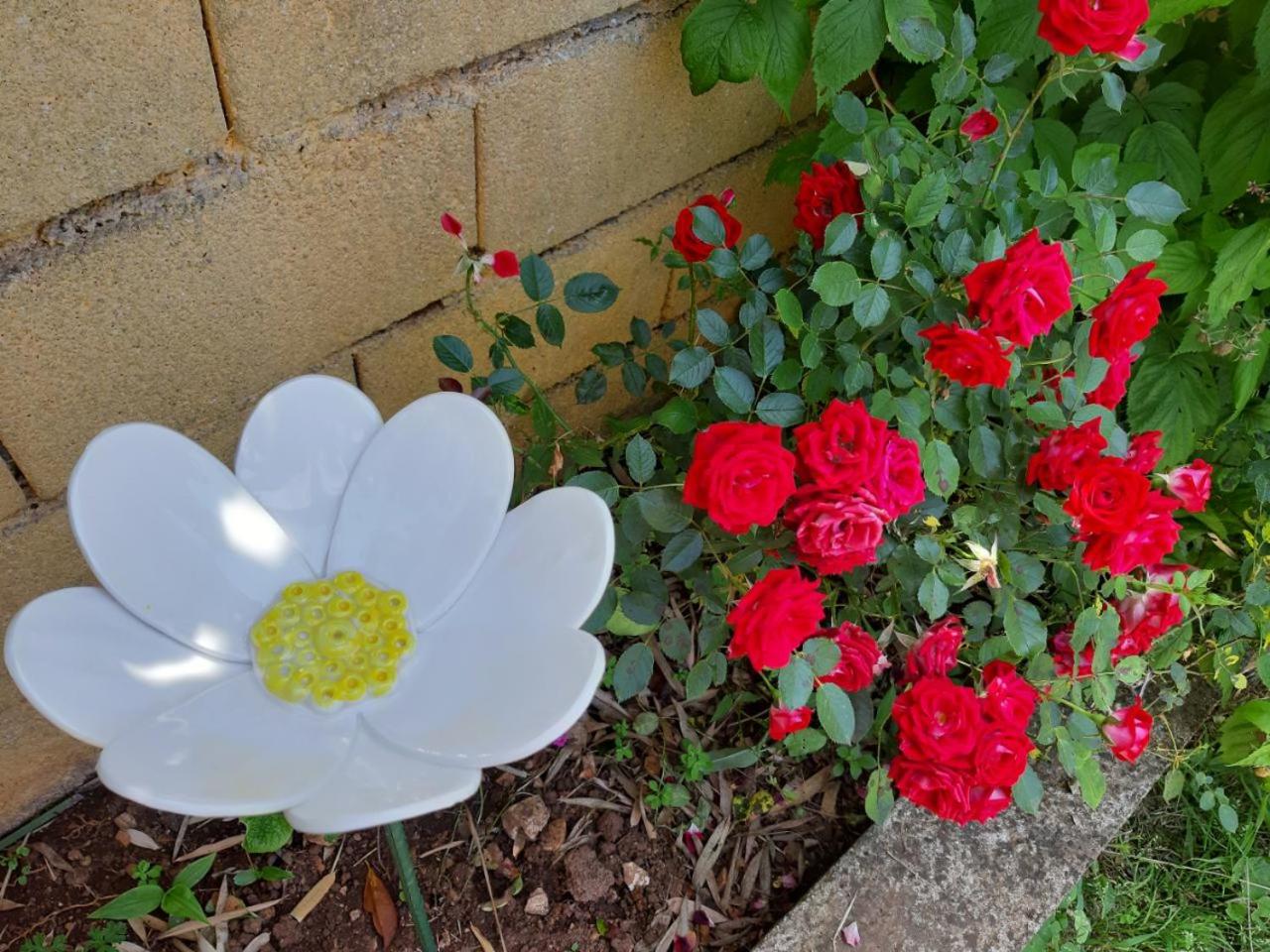 Photo 27