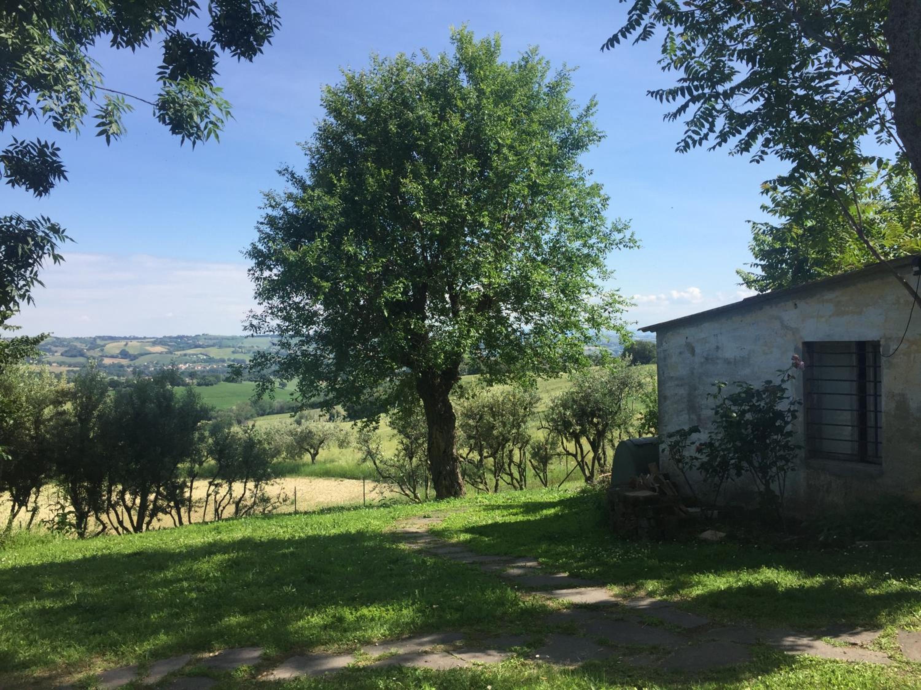 Photo 21