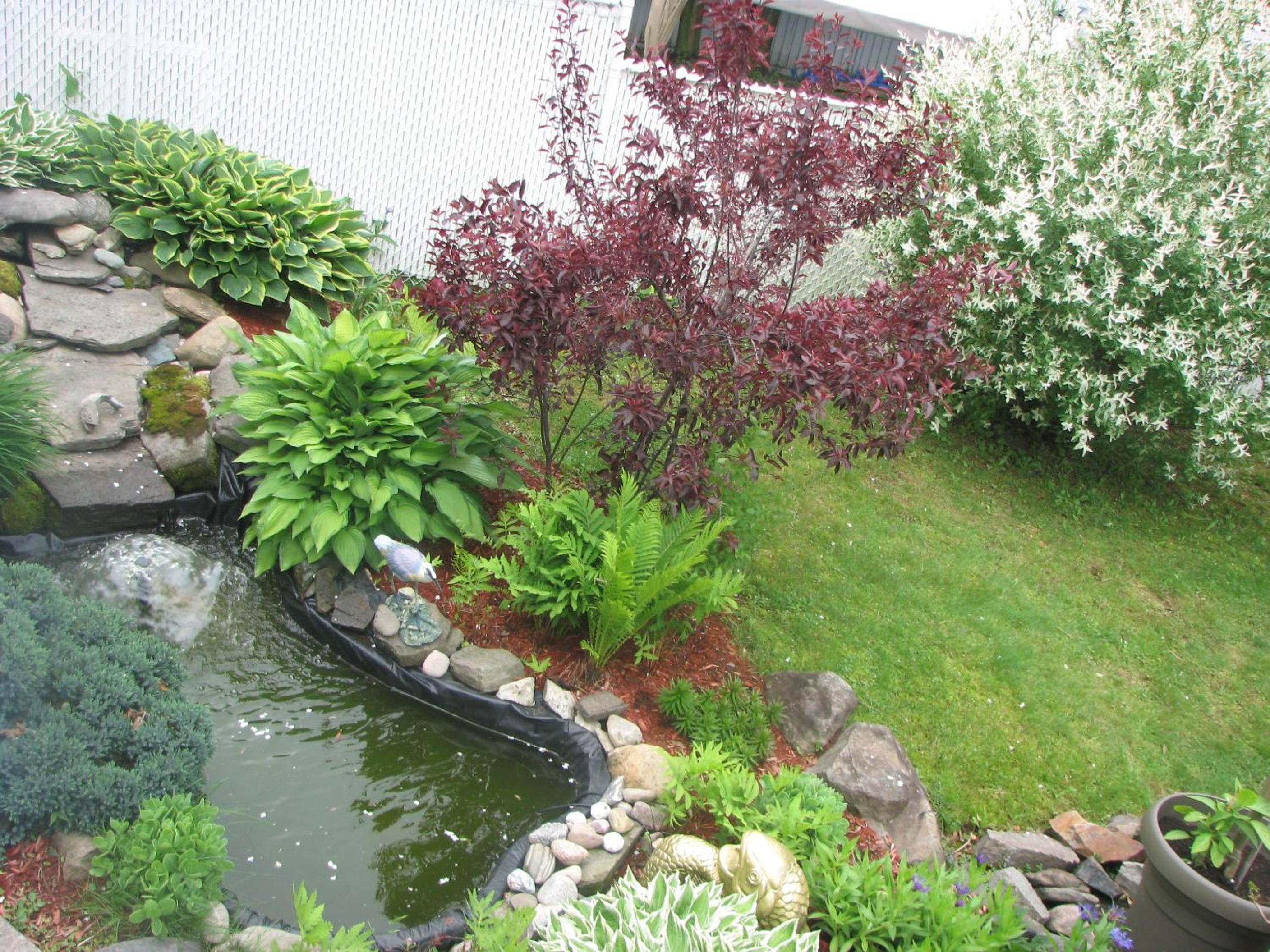 Magnolia B&B