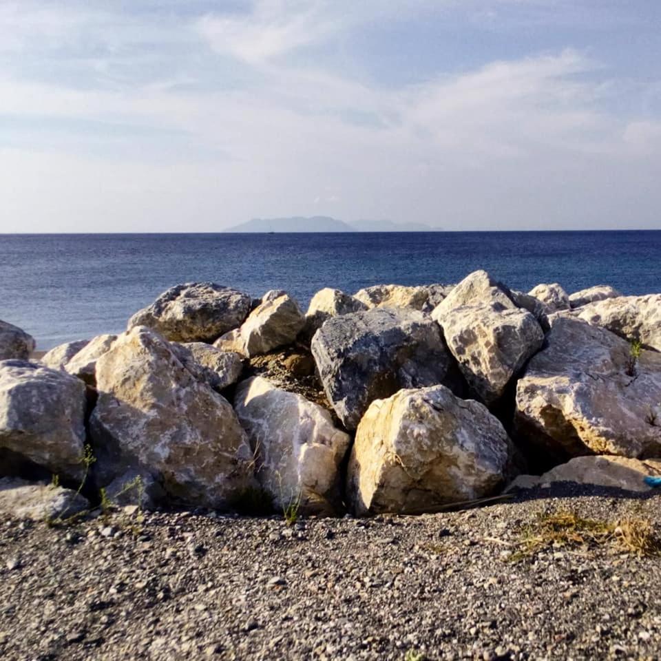 Photo 47