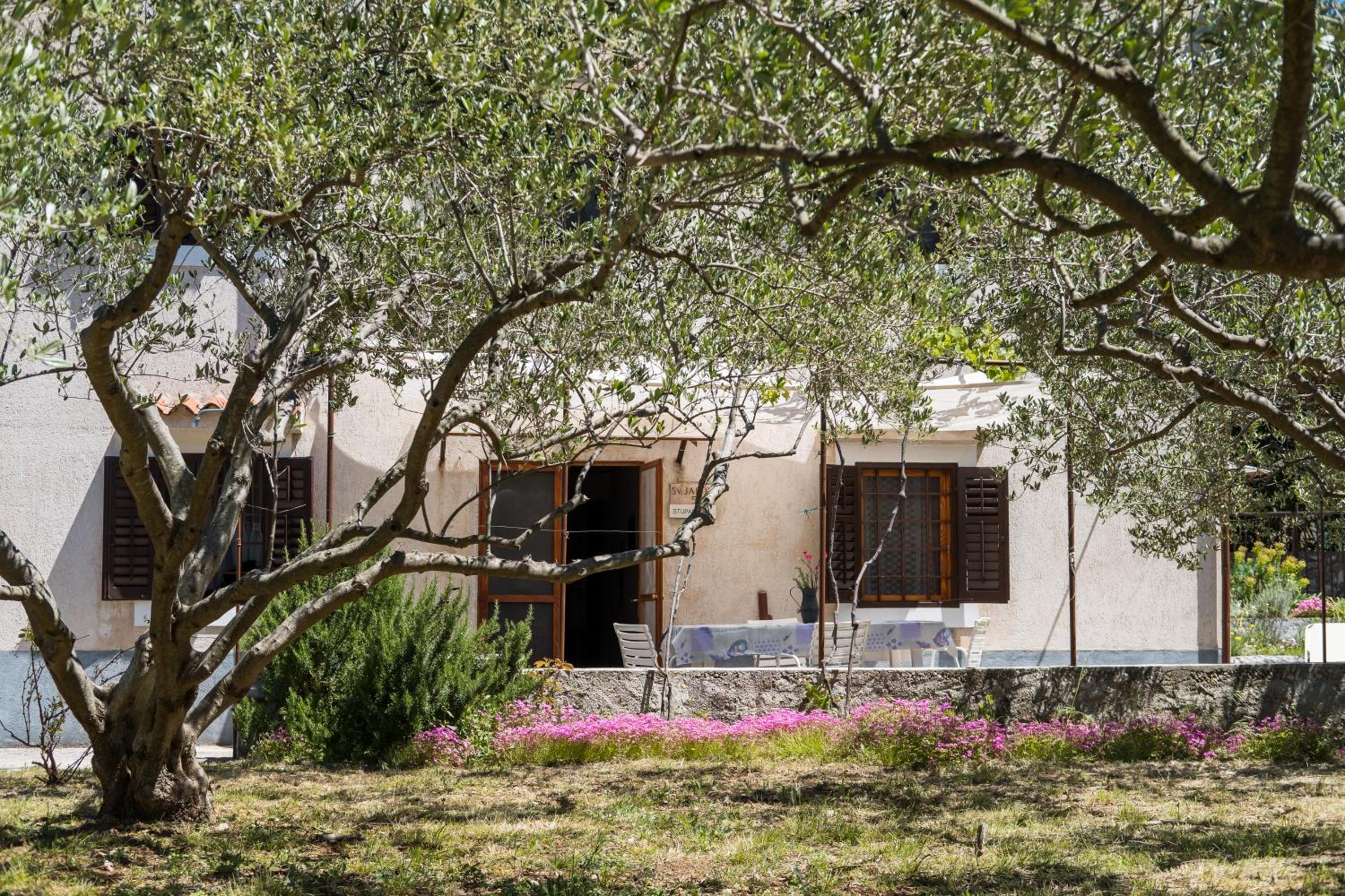 CASA OLIVA