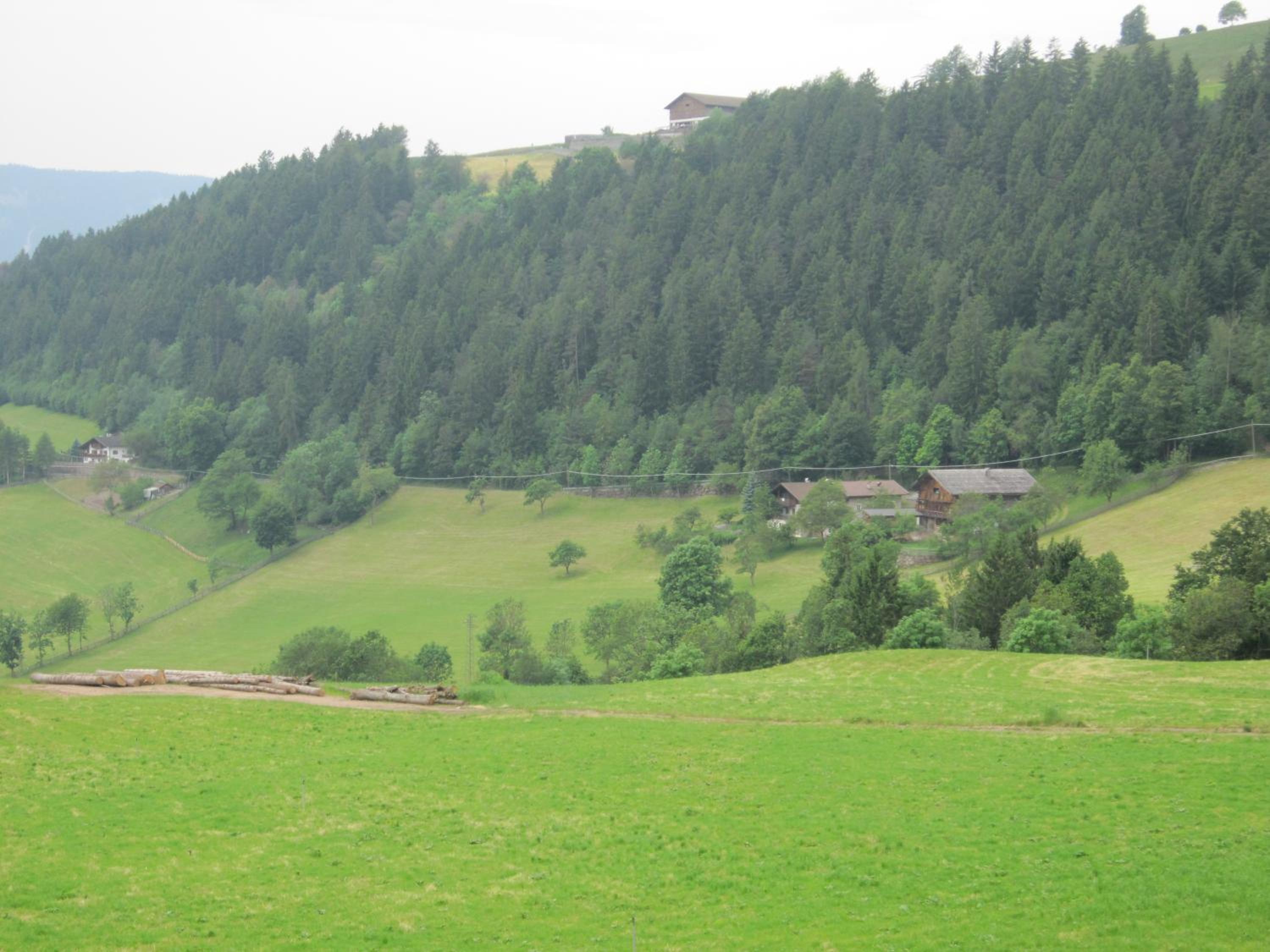 Schwabl auf der Ebene en Meltina