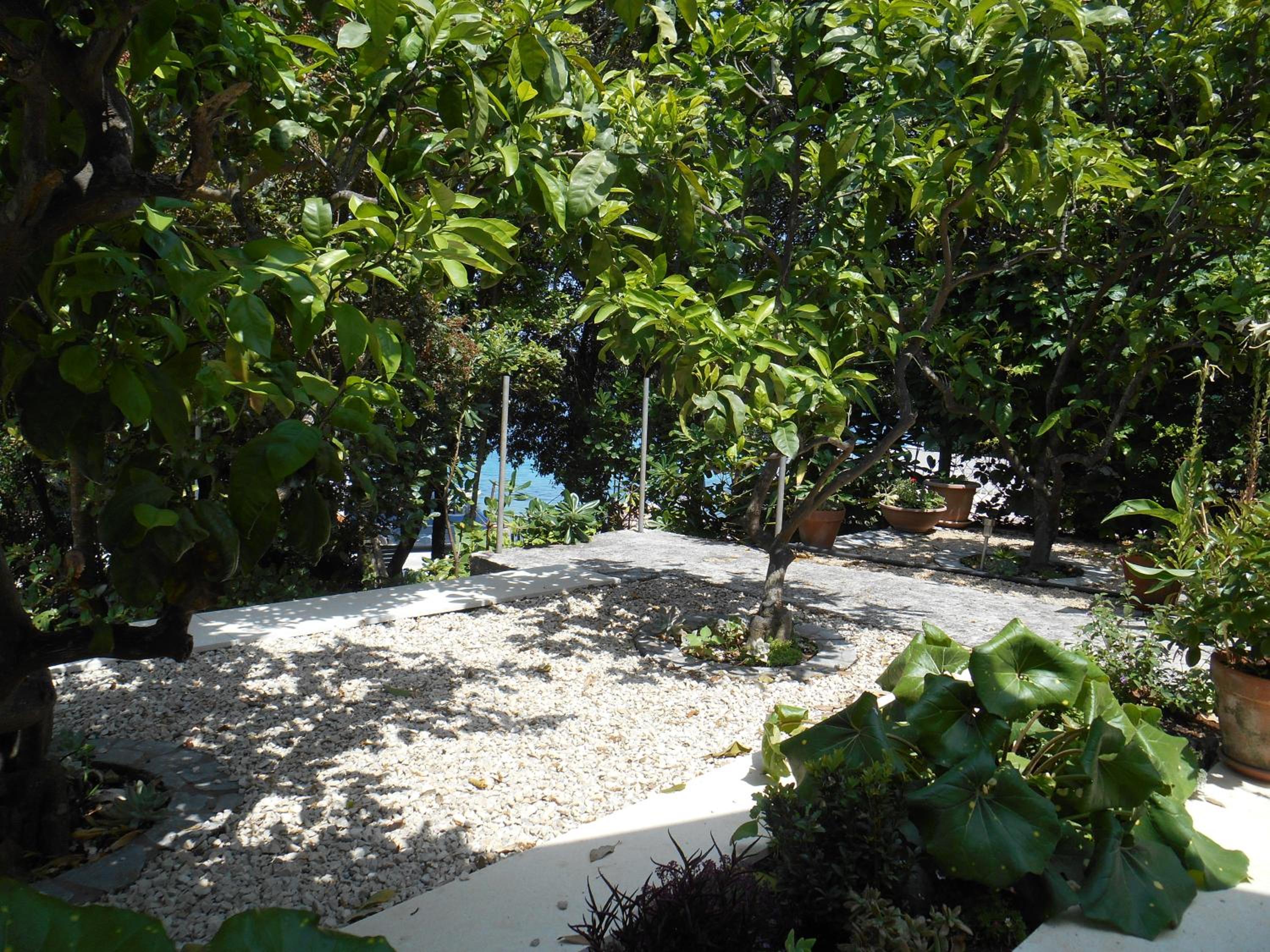 Photo 45