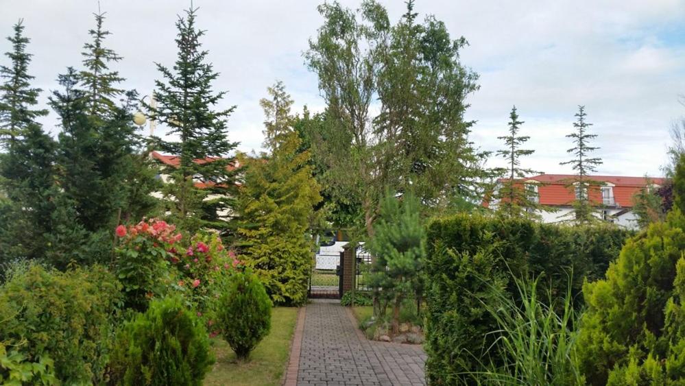 Apartament II view 5
