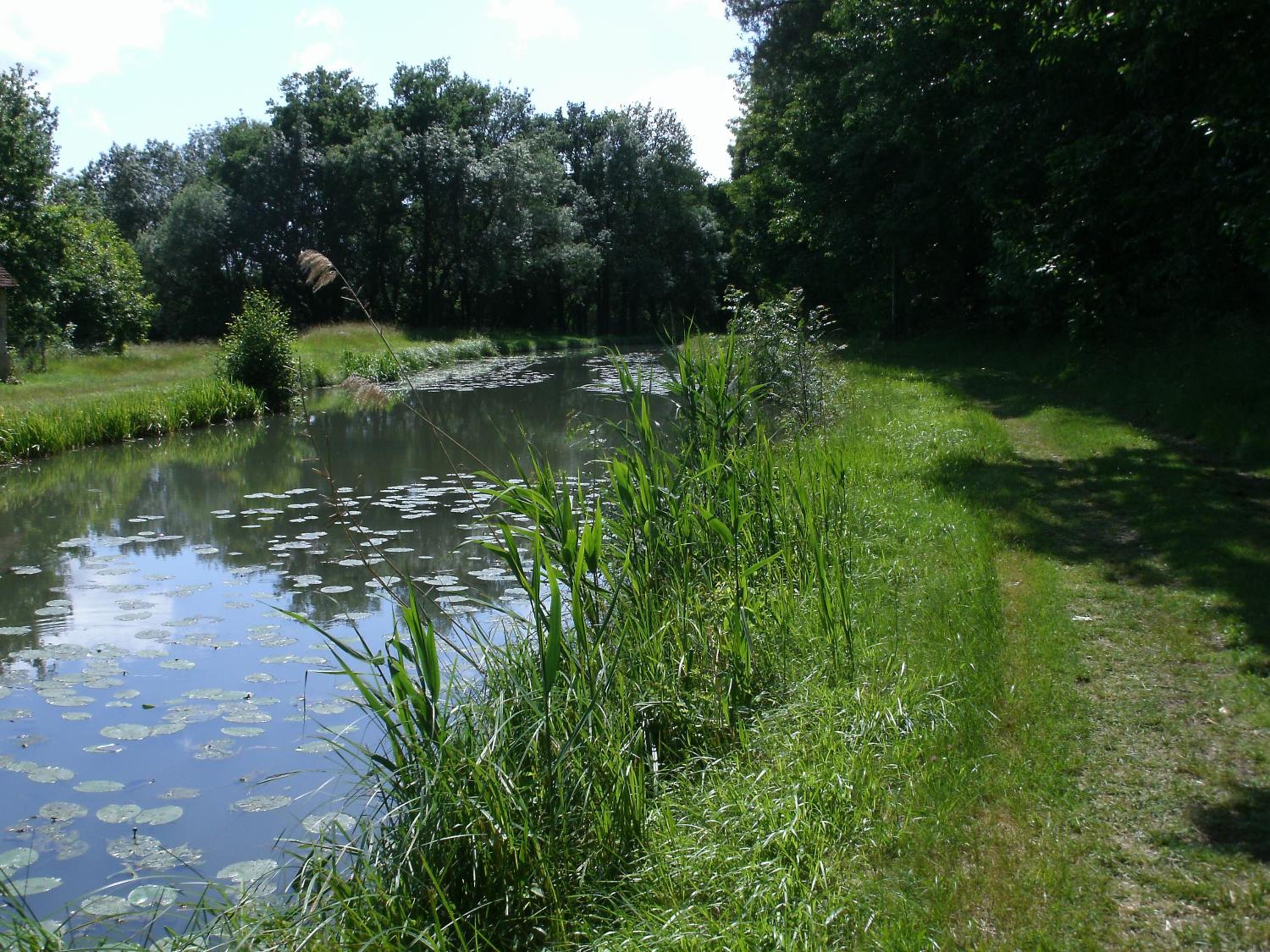 Gîte insolite de L'Escouriou view 4