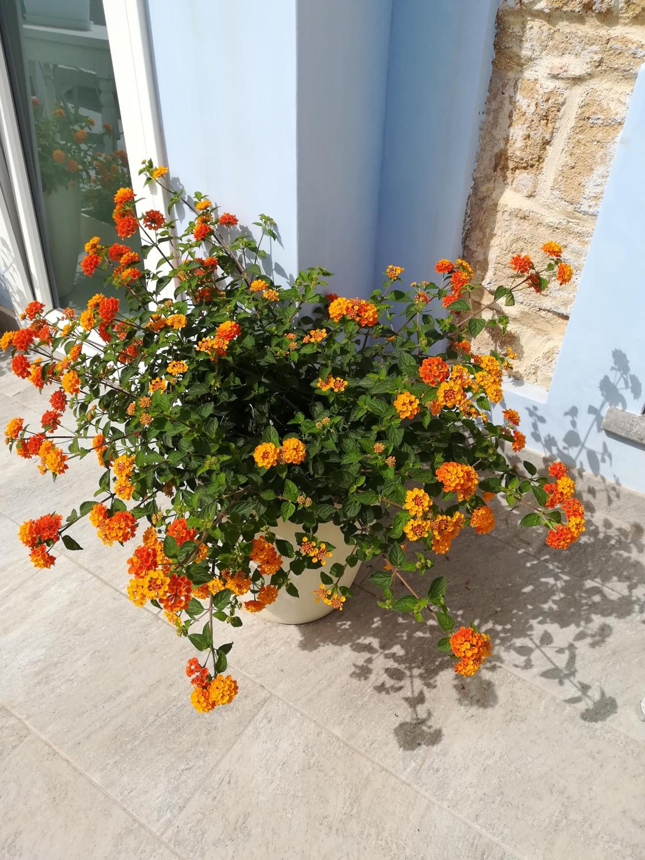 A Vucciria