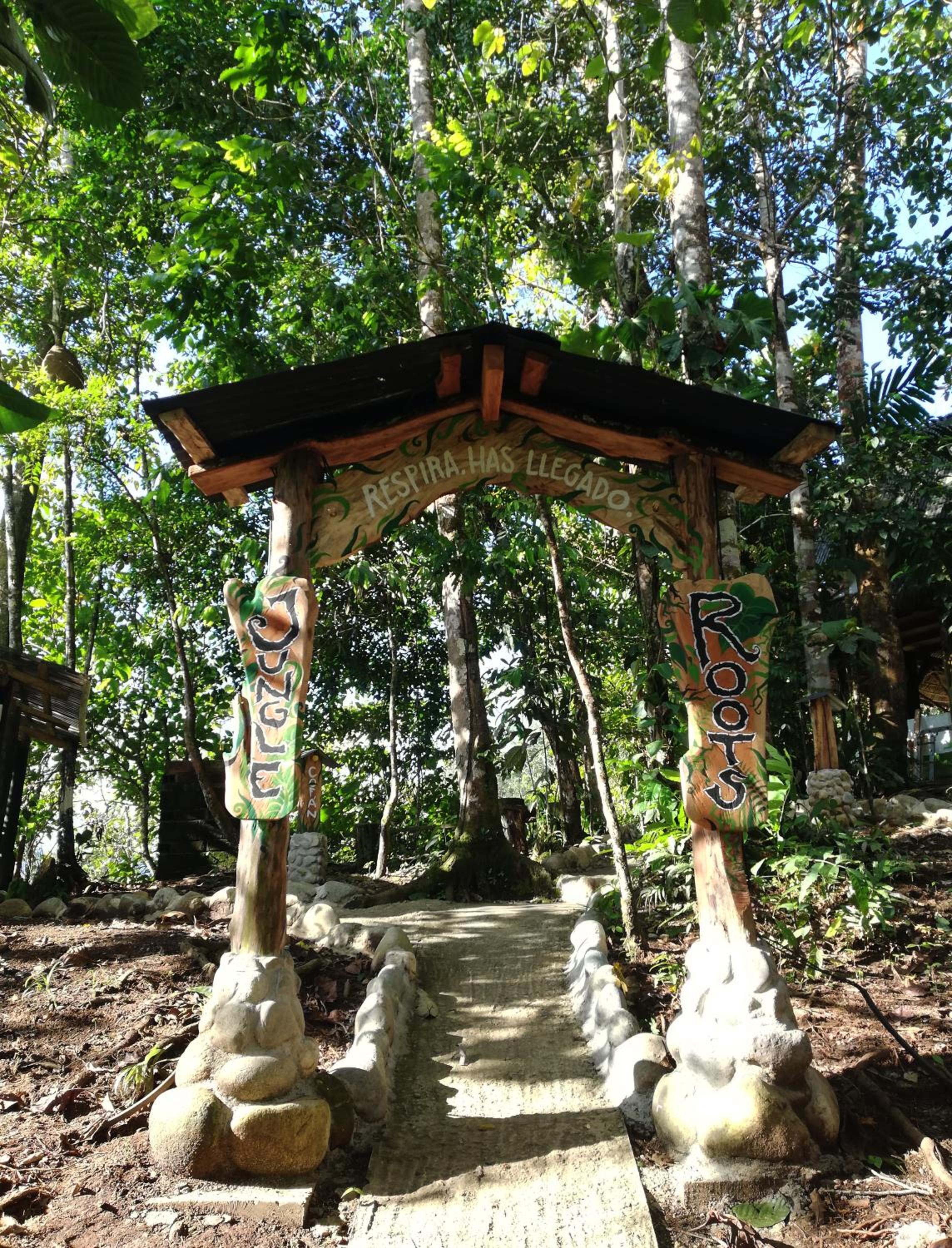 Jungle Roots
