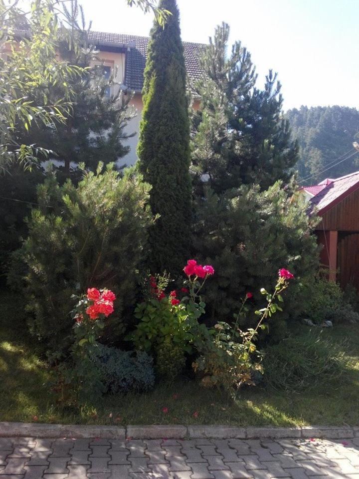 CASA SORICELU