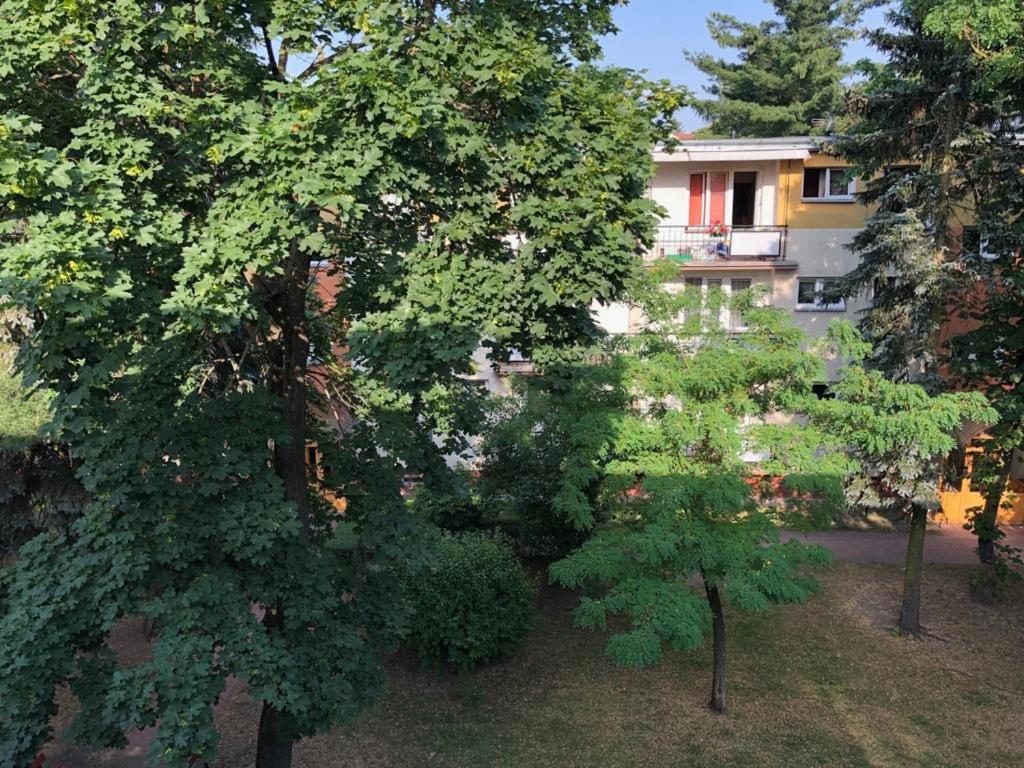 Apartament Chrobrego 269