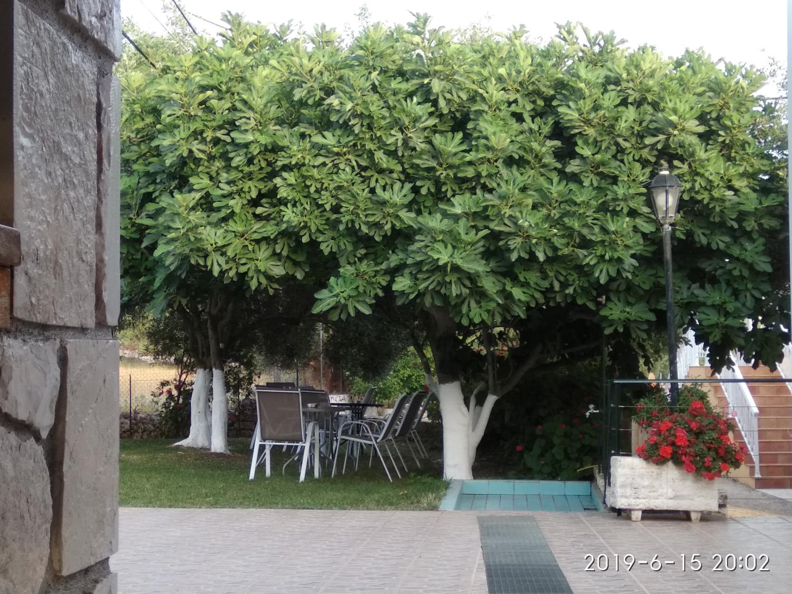 Stamatia Studios