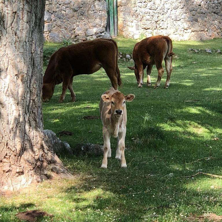 La Casa del Valle