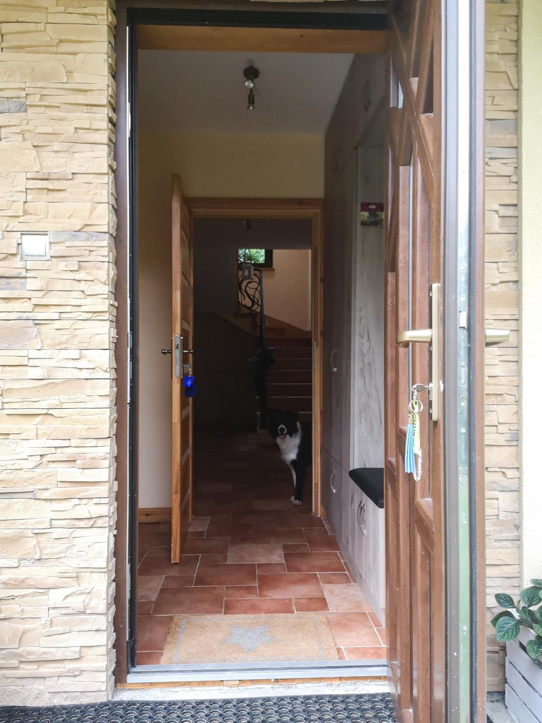 Zacisze Drwala view 4