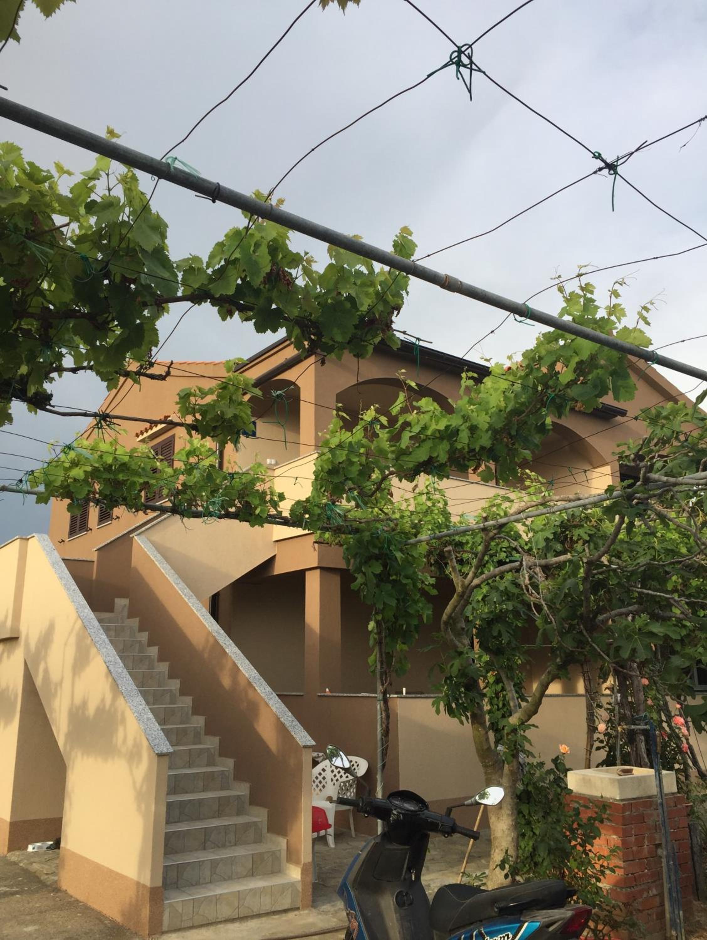 Apartments Anka