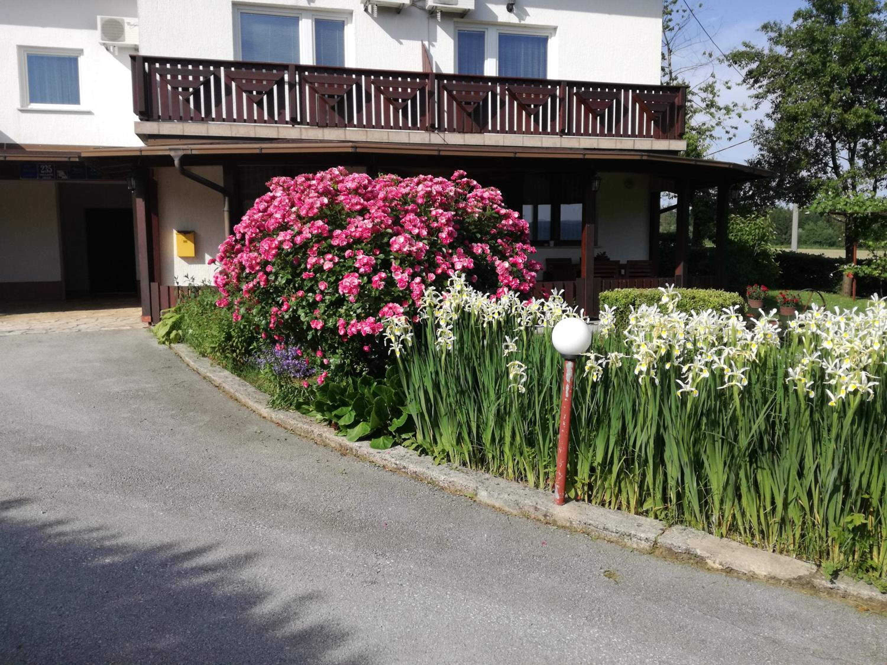 Guesthouse Šebalj view 5