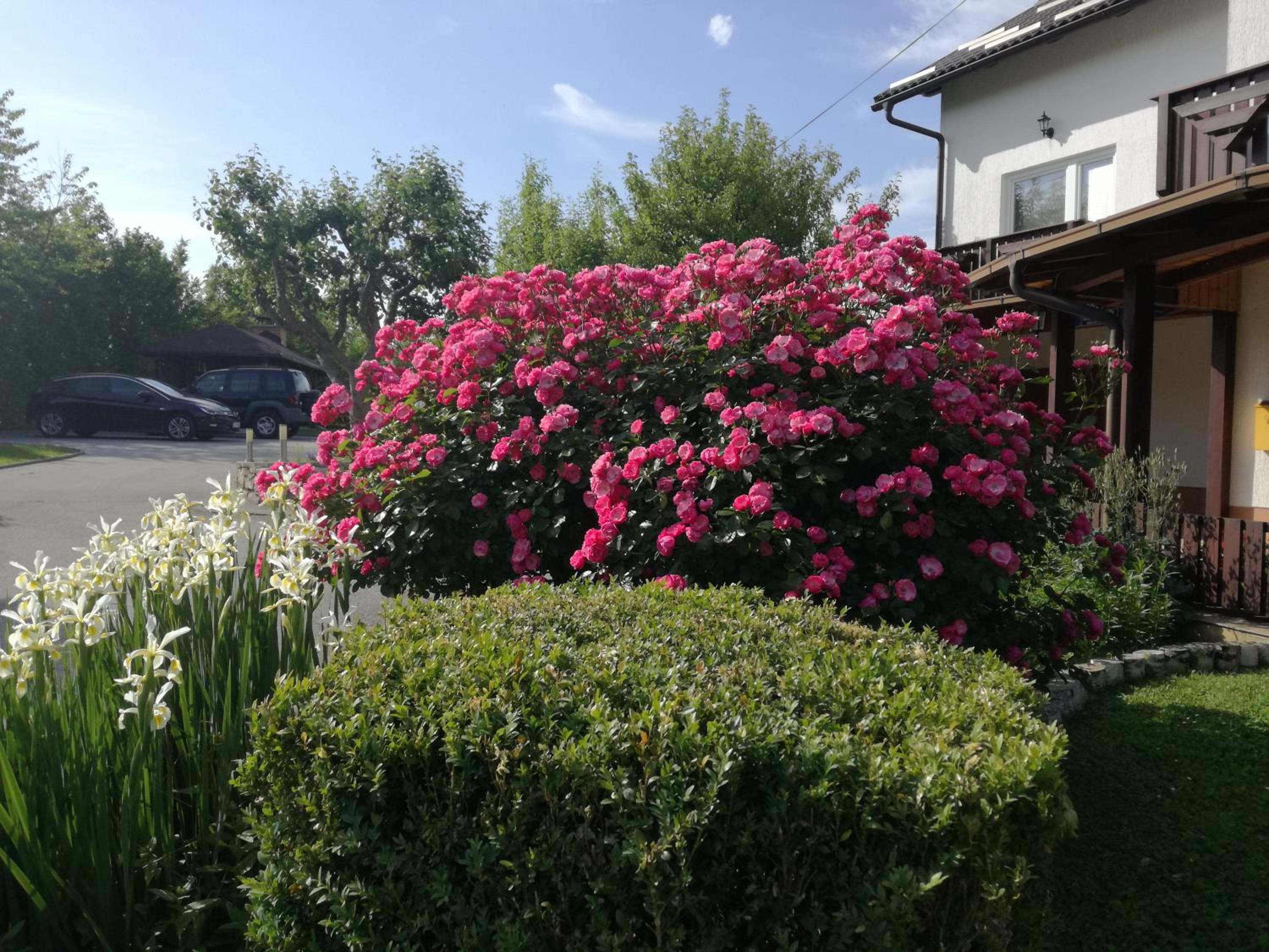 Guesthouse Šebalj view 4