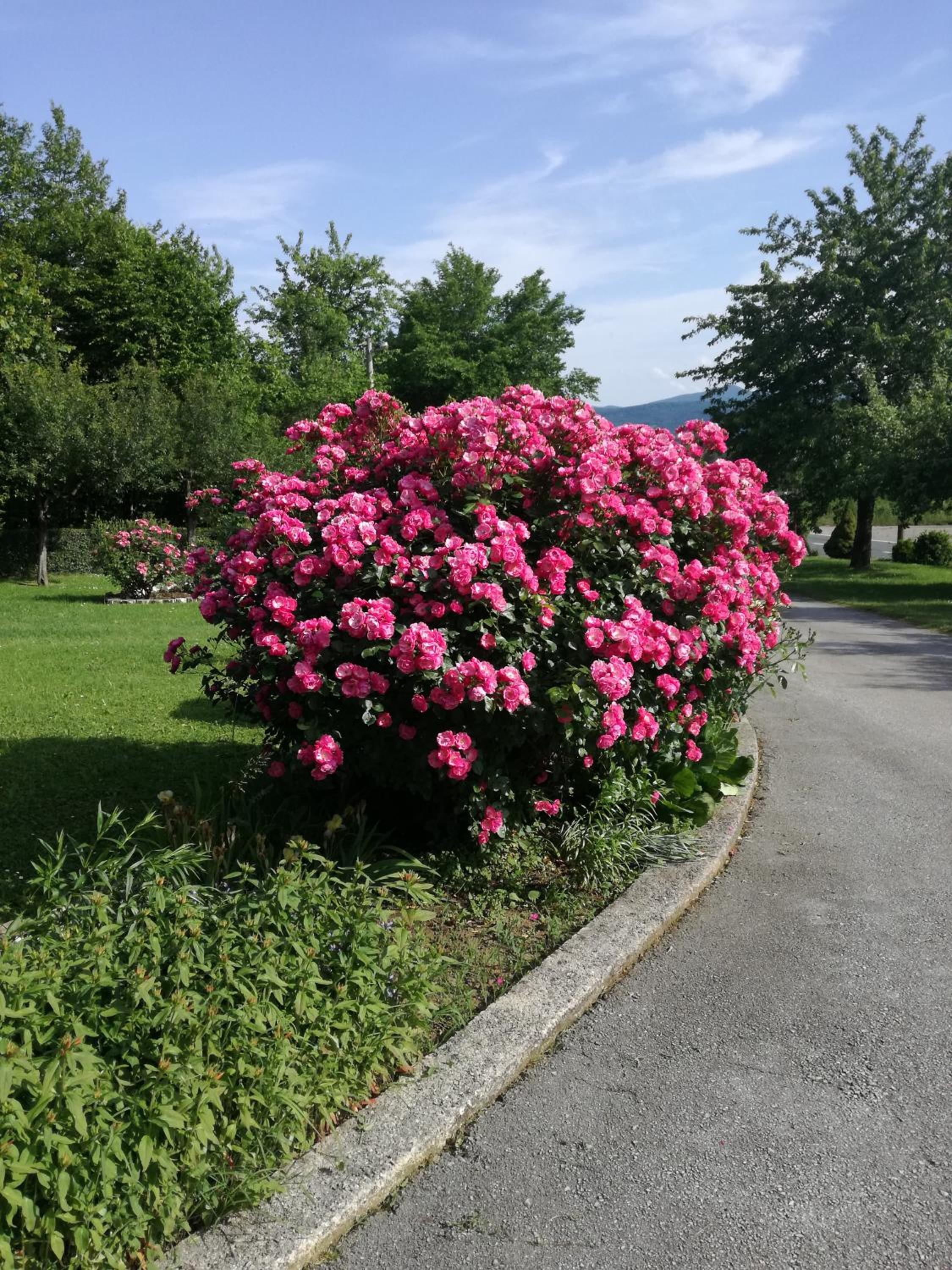 Guesthouse Šebalj view 2