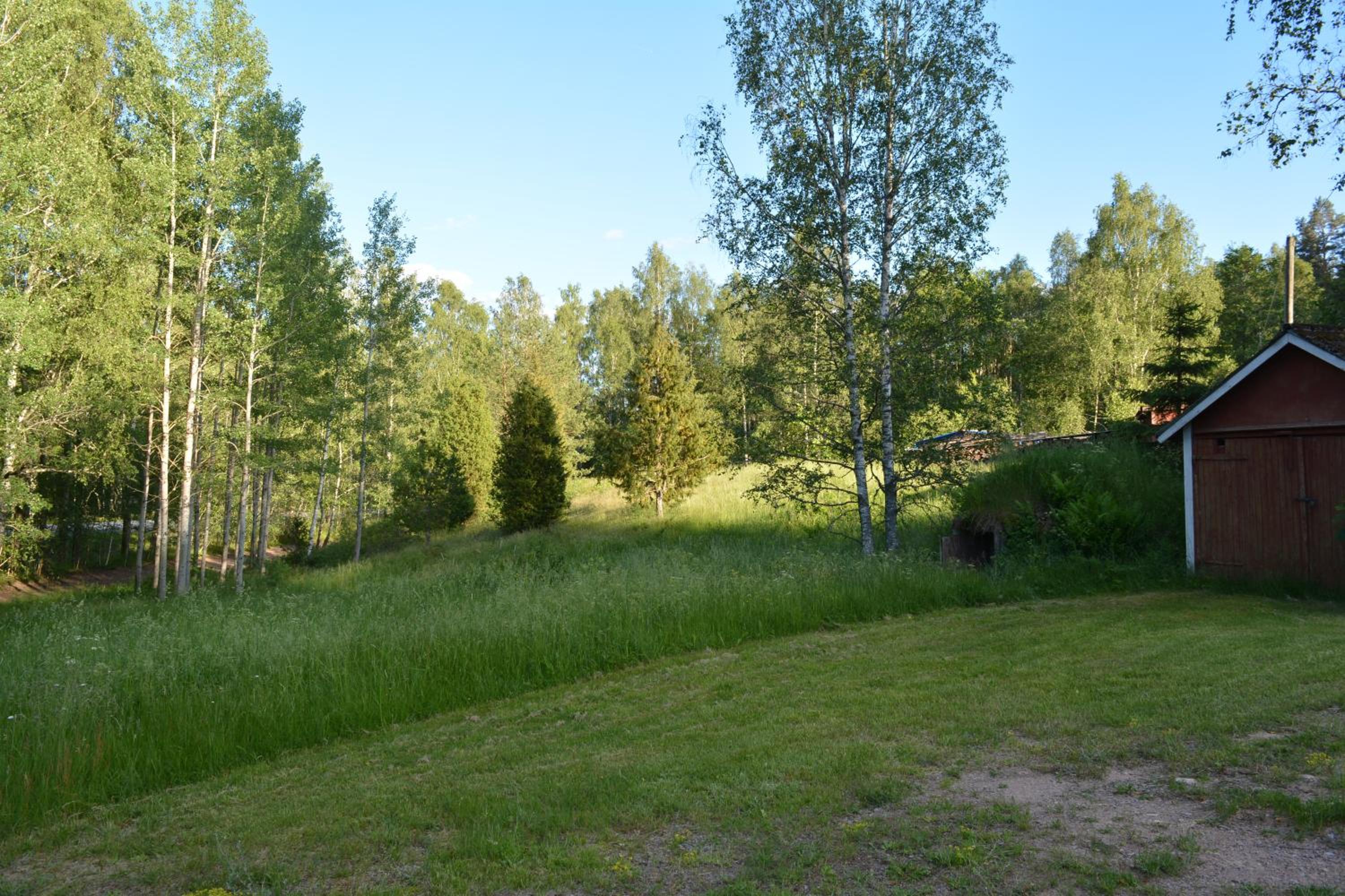 Högerödja