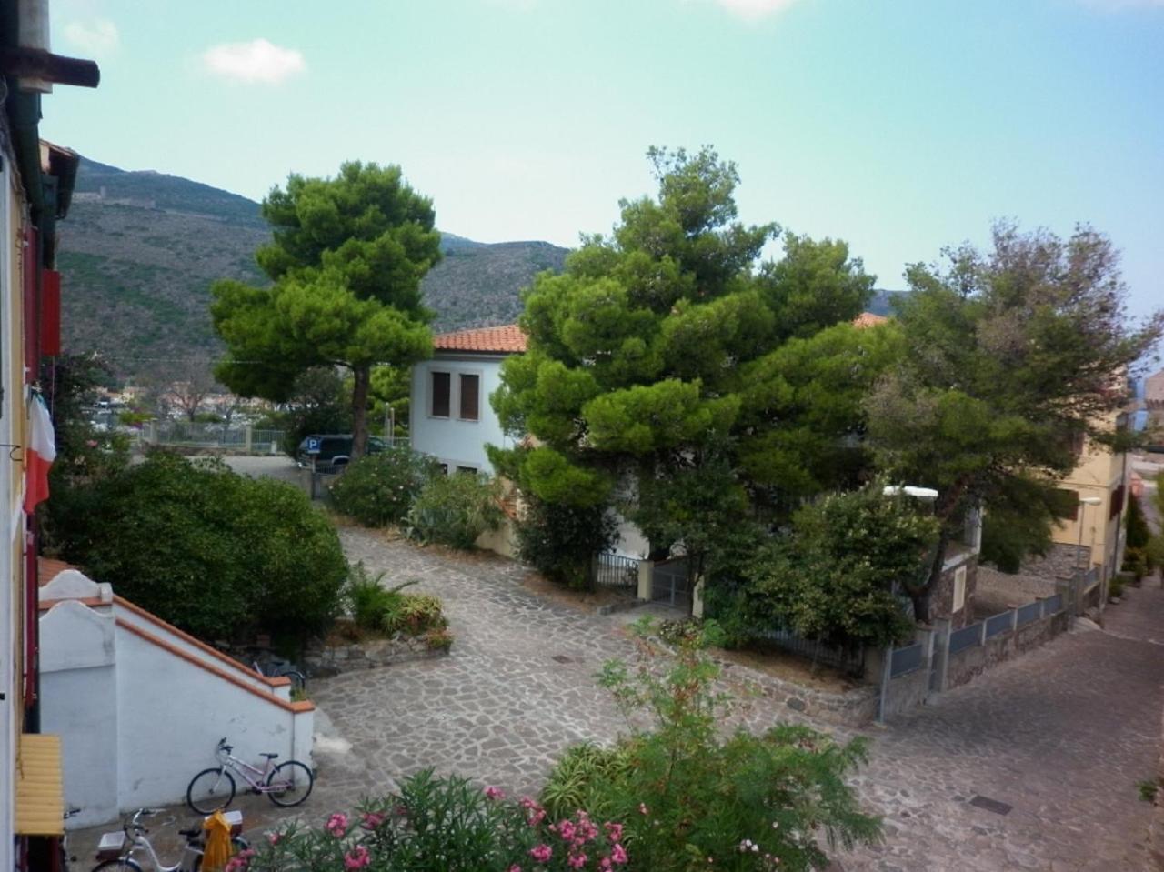 Photo 16