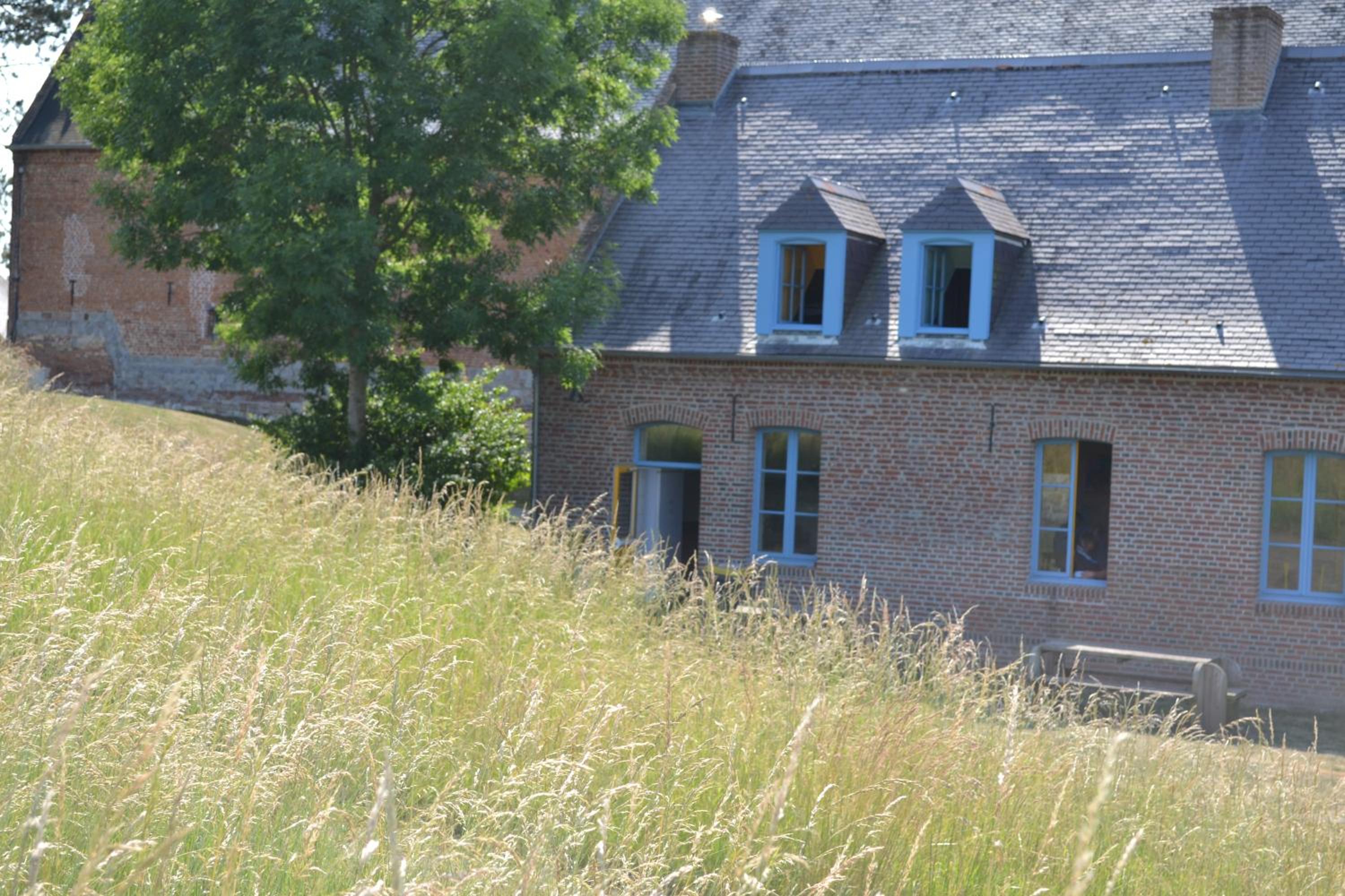 Photo 11