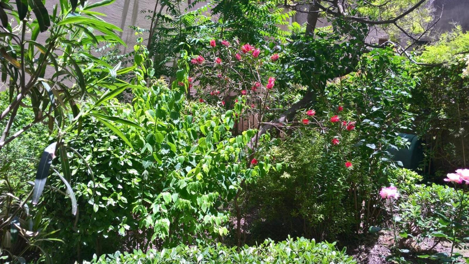 Photo 40