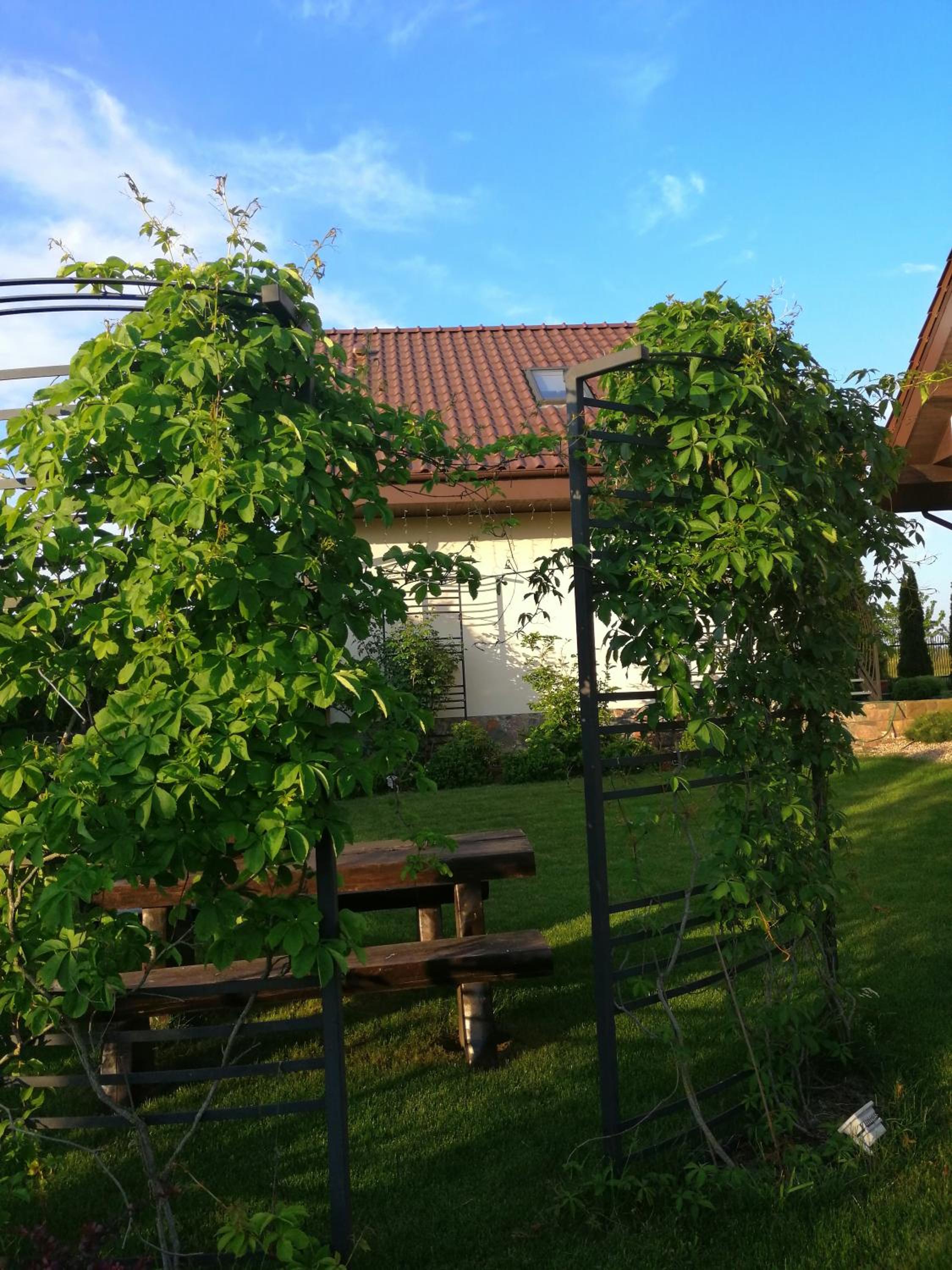 Photo 44