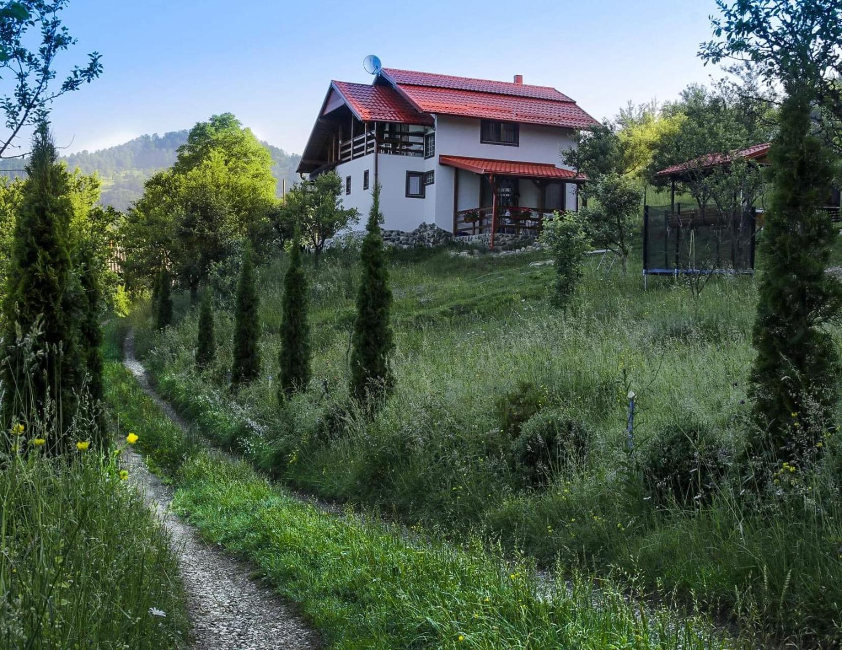 Casa Roman view 2