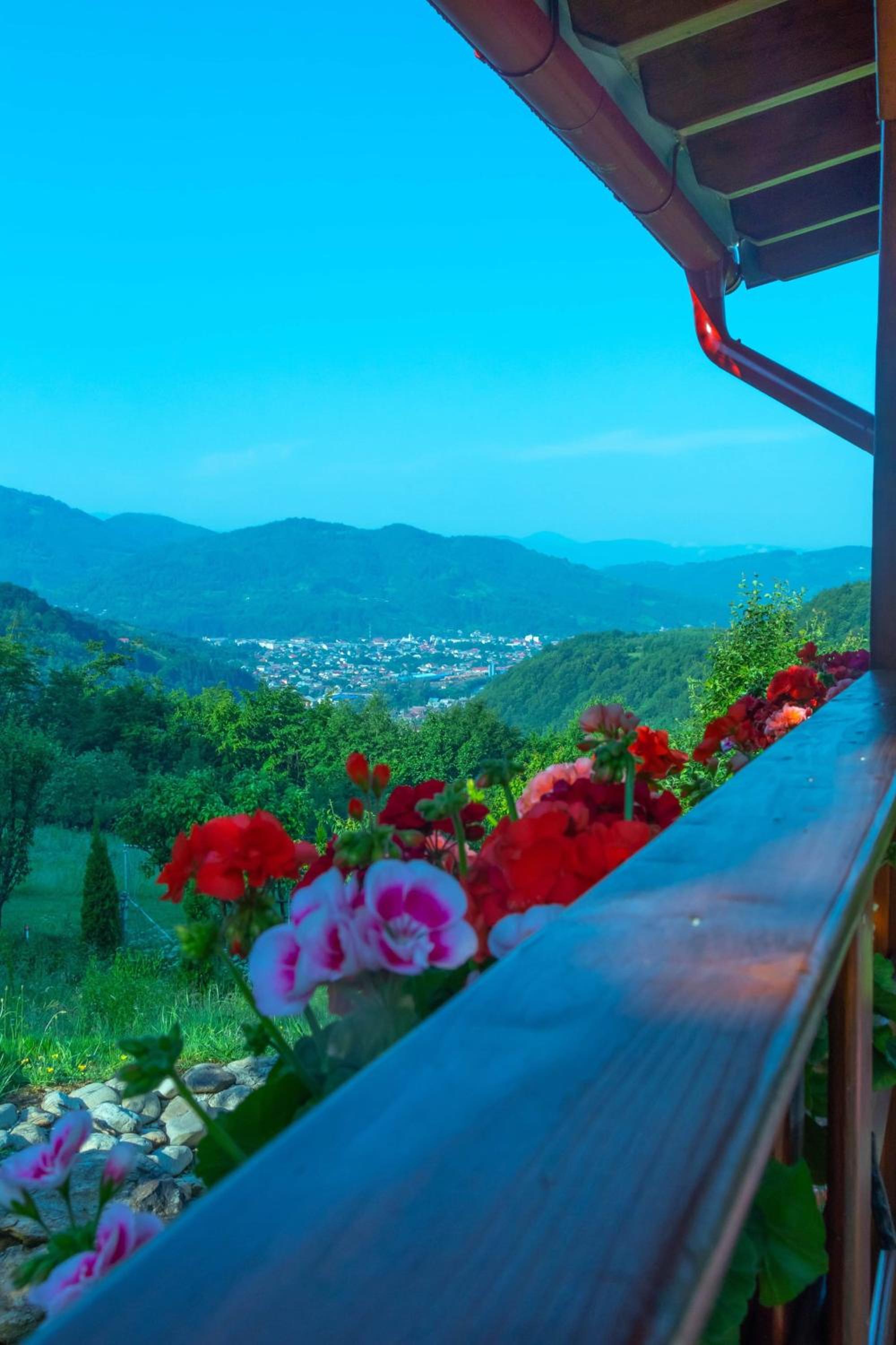 Casa Roman view 5