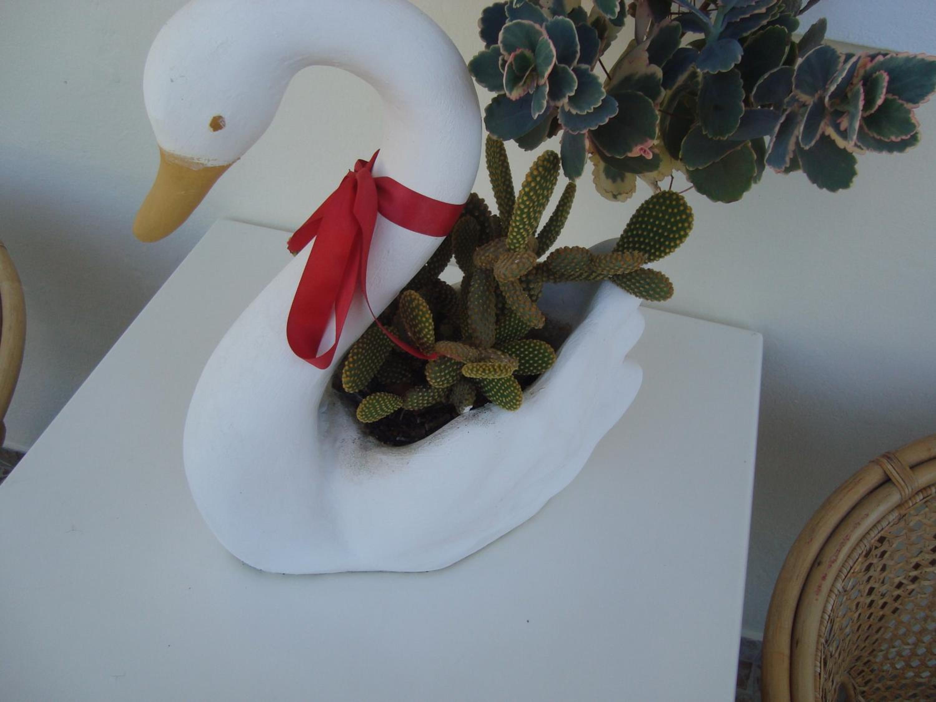 Photo 37