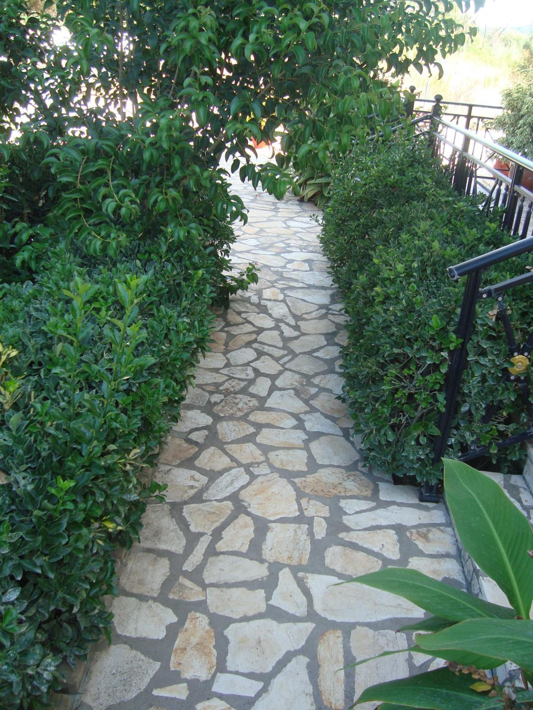 Photo 38