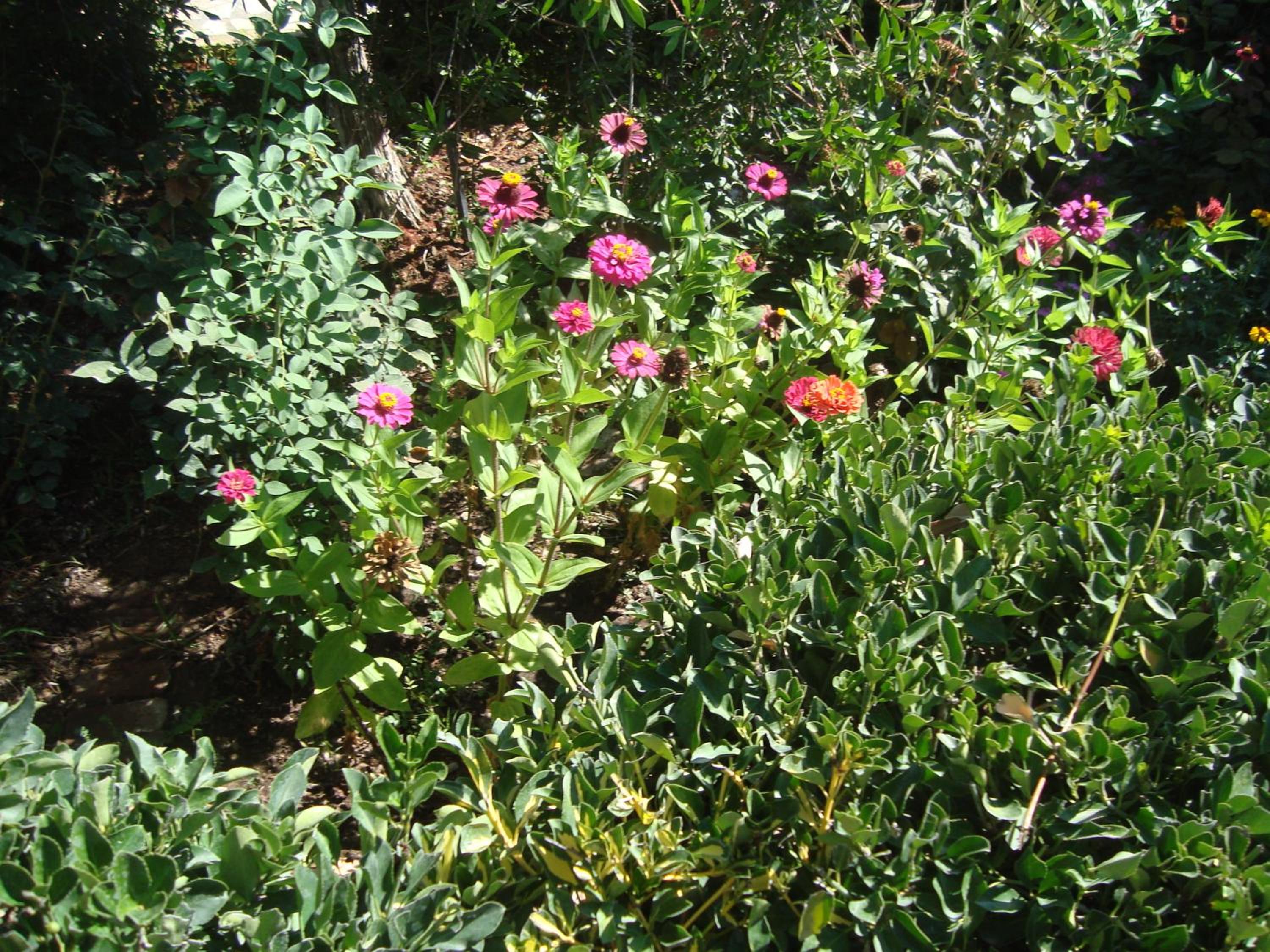 Photo 39