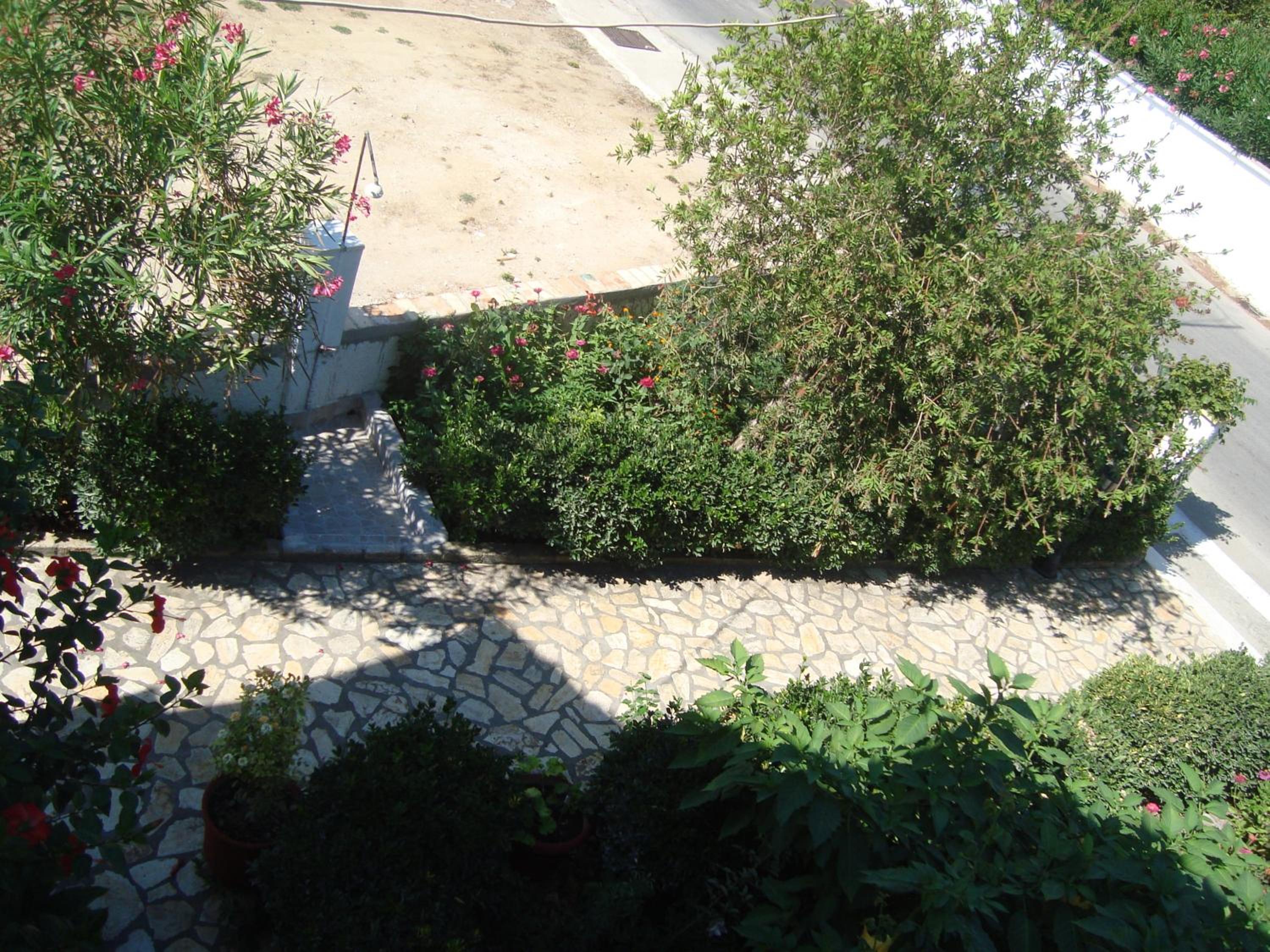 Photo 42