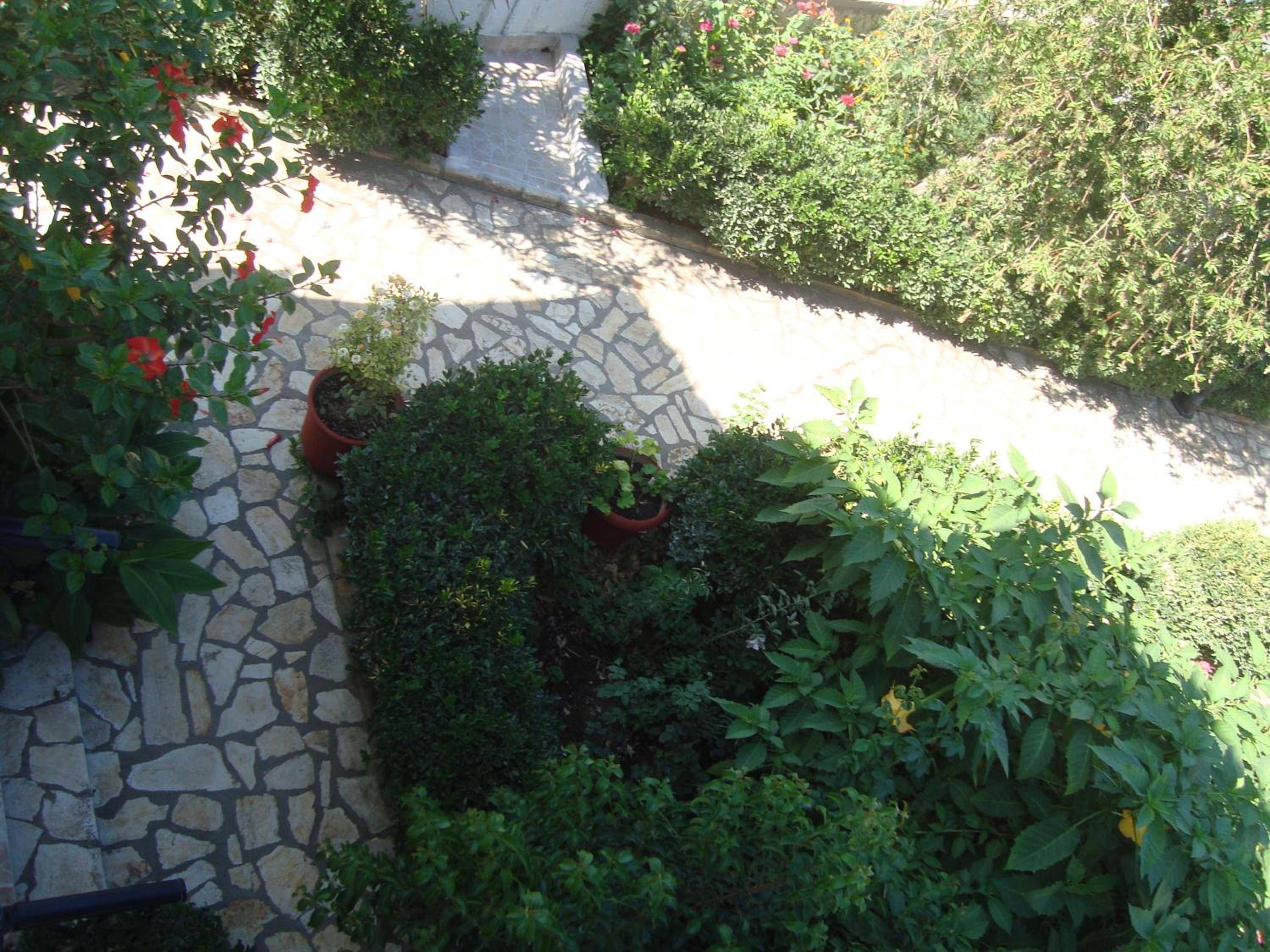 Photo 43