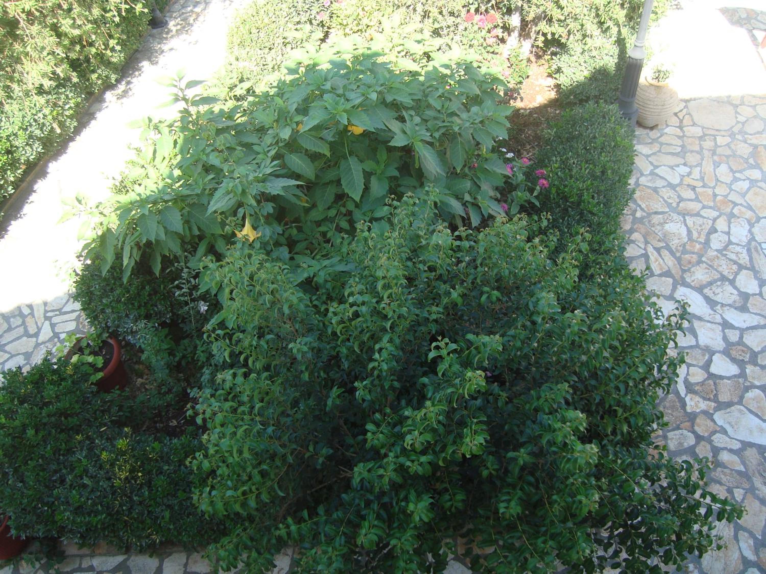 Photo 44