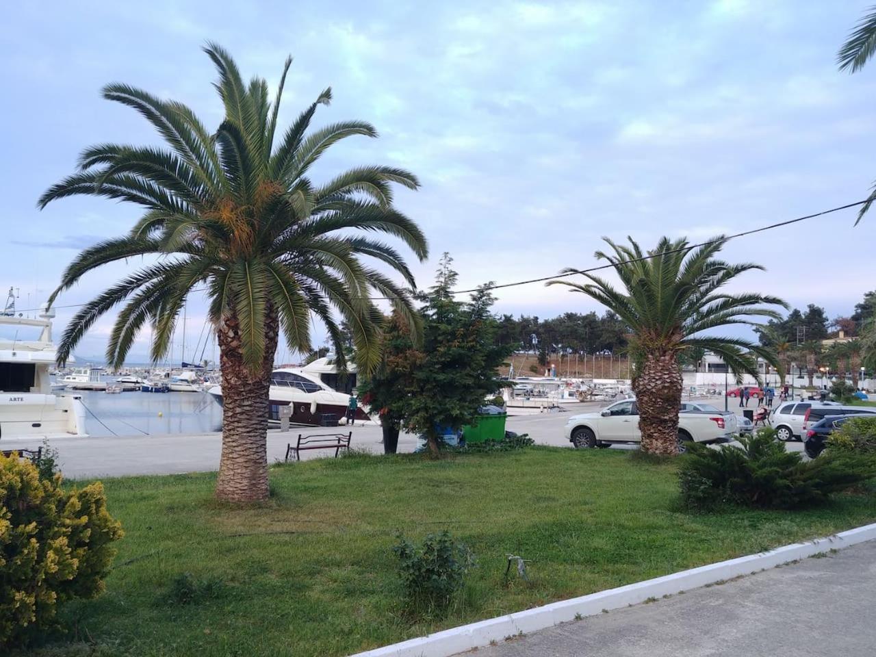 Photo 48