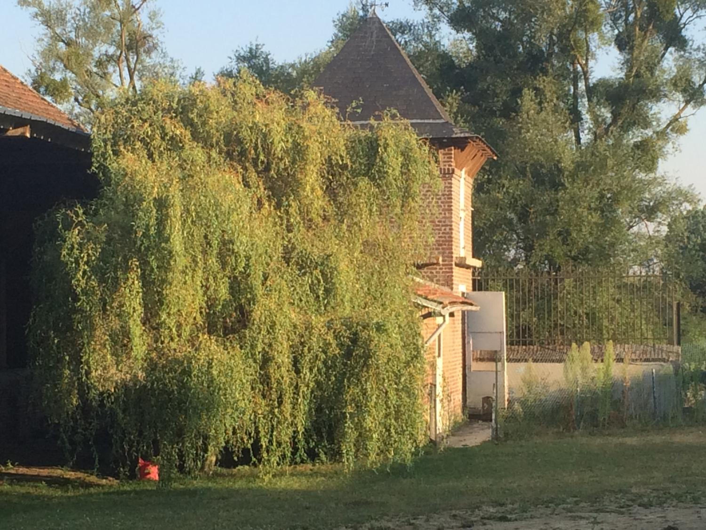 Photo 26