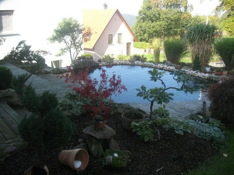 Photo 30