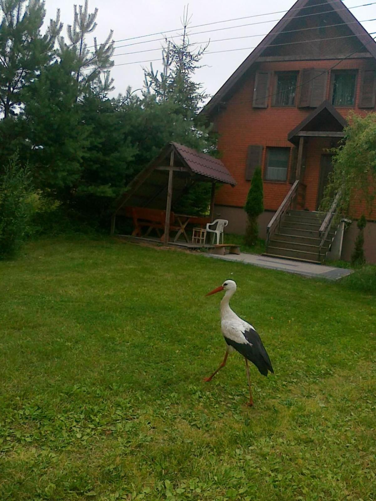 Photo 28