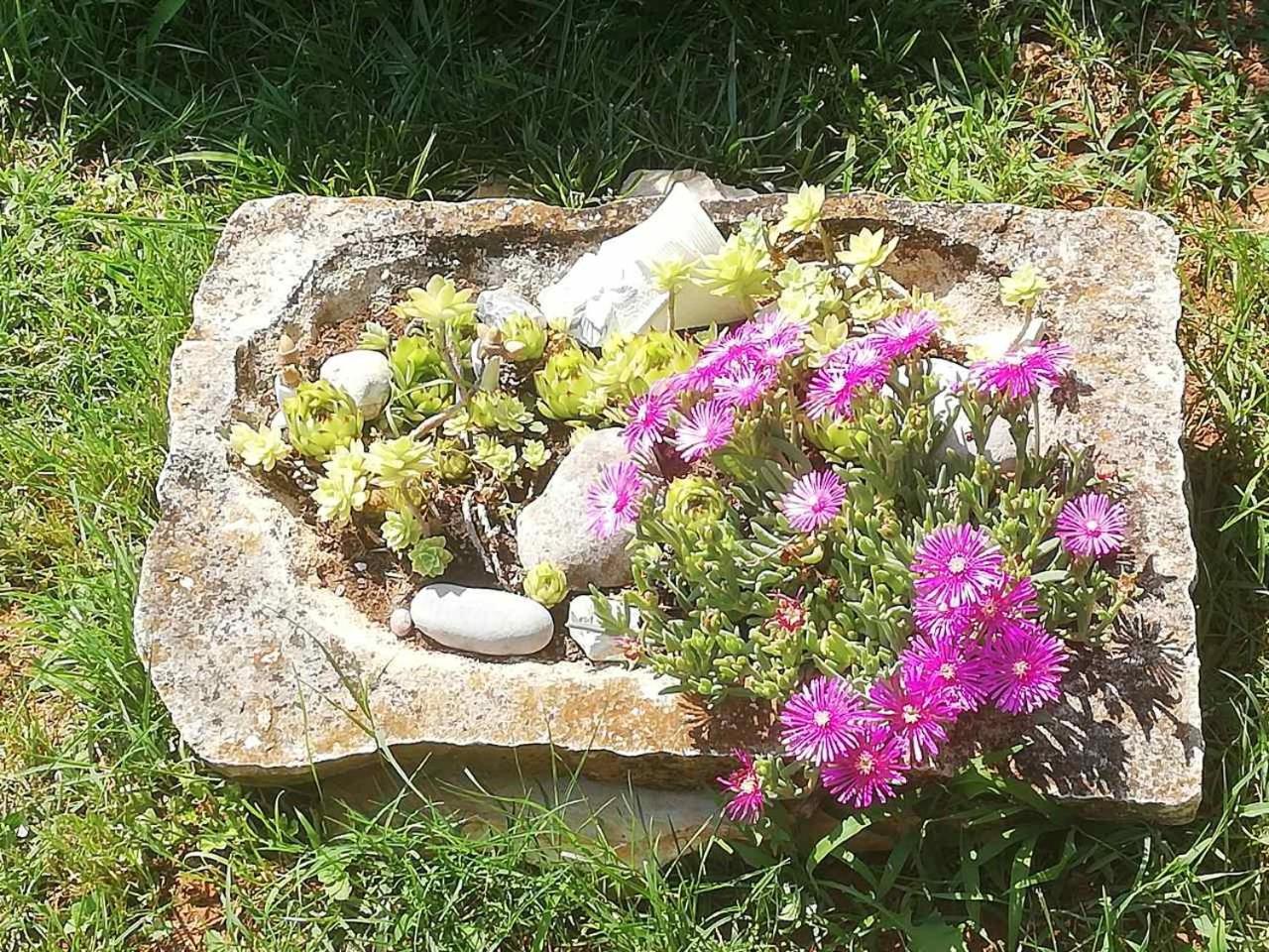 Photo 44