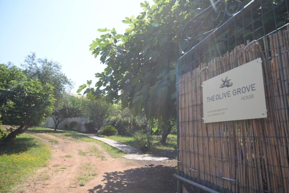 The Olive Grove House view 3