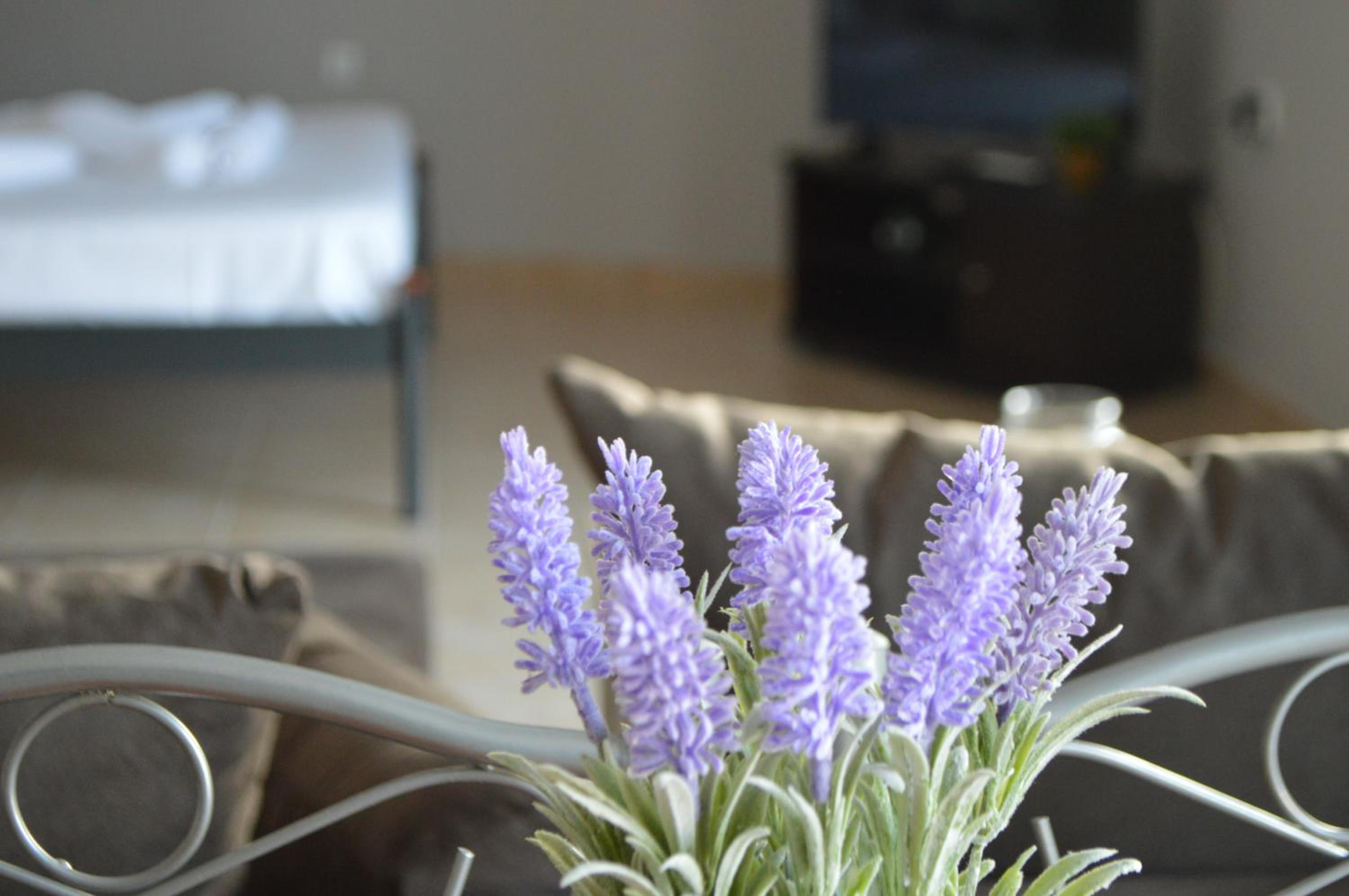 Katerina's sea view photo 3