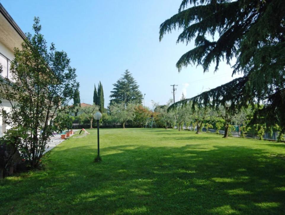 Photo 45